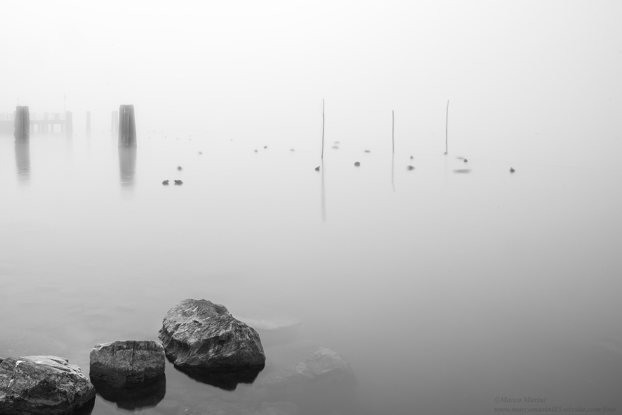 Nikon D600 sample photo. Fog on the lake photography