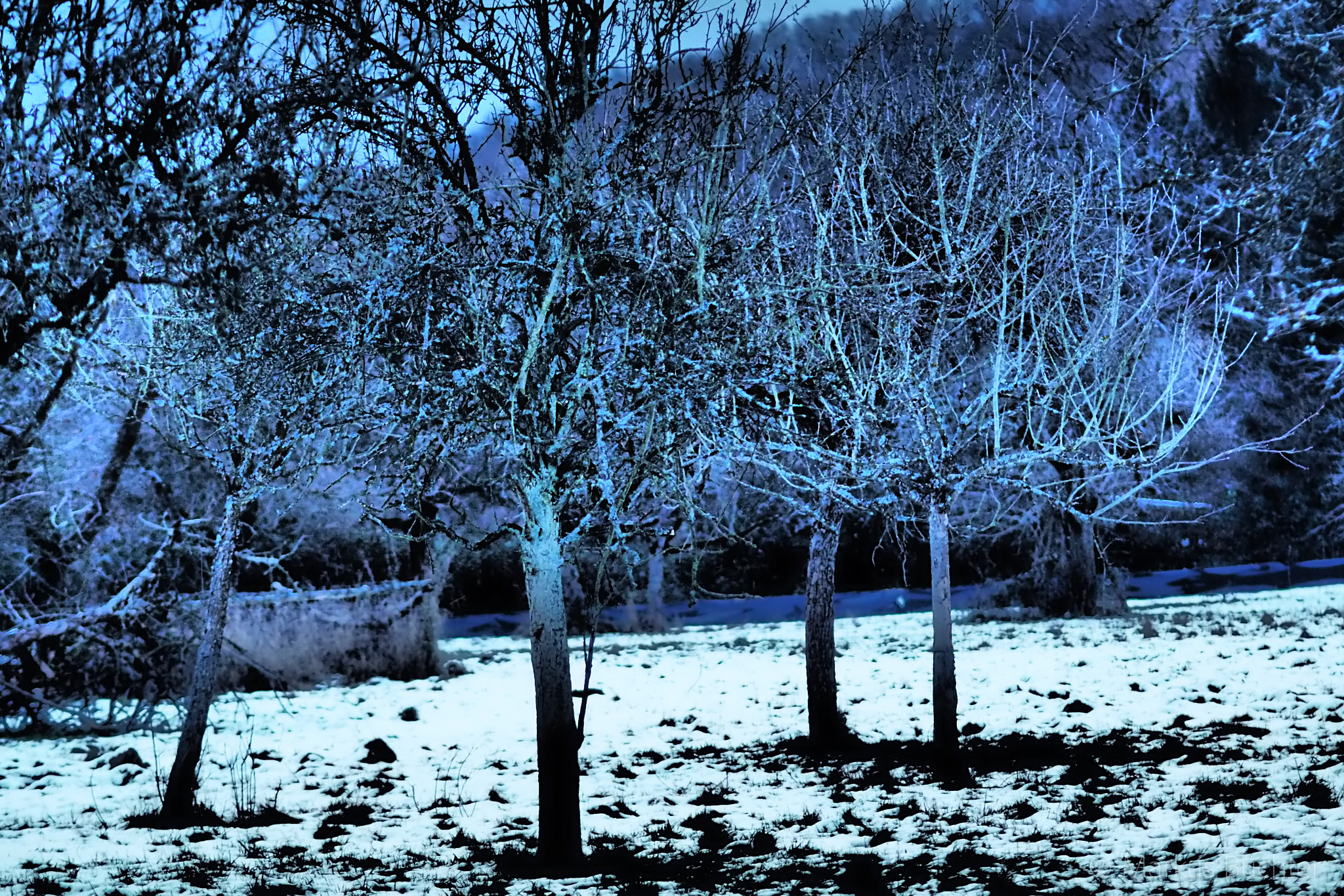 Olympus PEN-F + Olympus M.Zuiko Digital ED 75mm F1.8 sample photo. A winter's evening photography