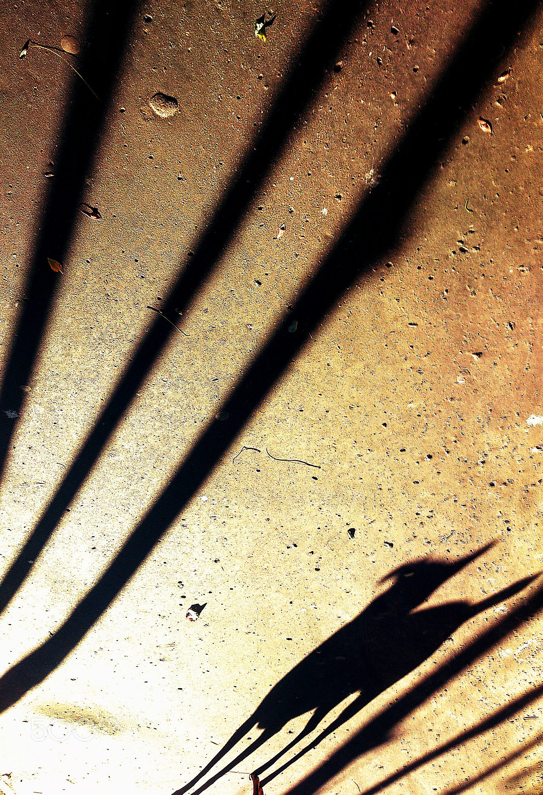Sony Xperia T sample photo. Shadow, nothing but a shadow... photography