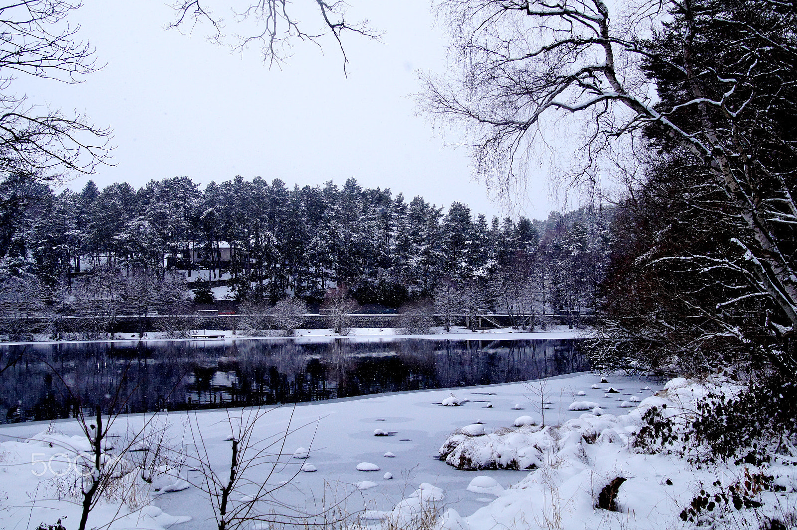 Sony SLT-A58 sample photo. Winter photography