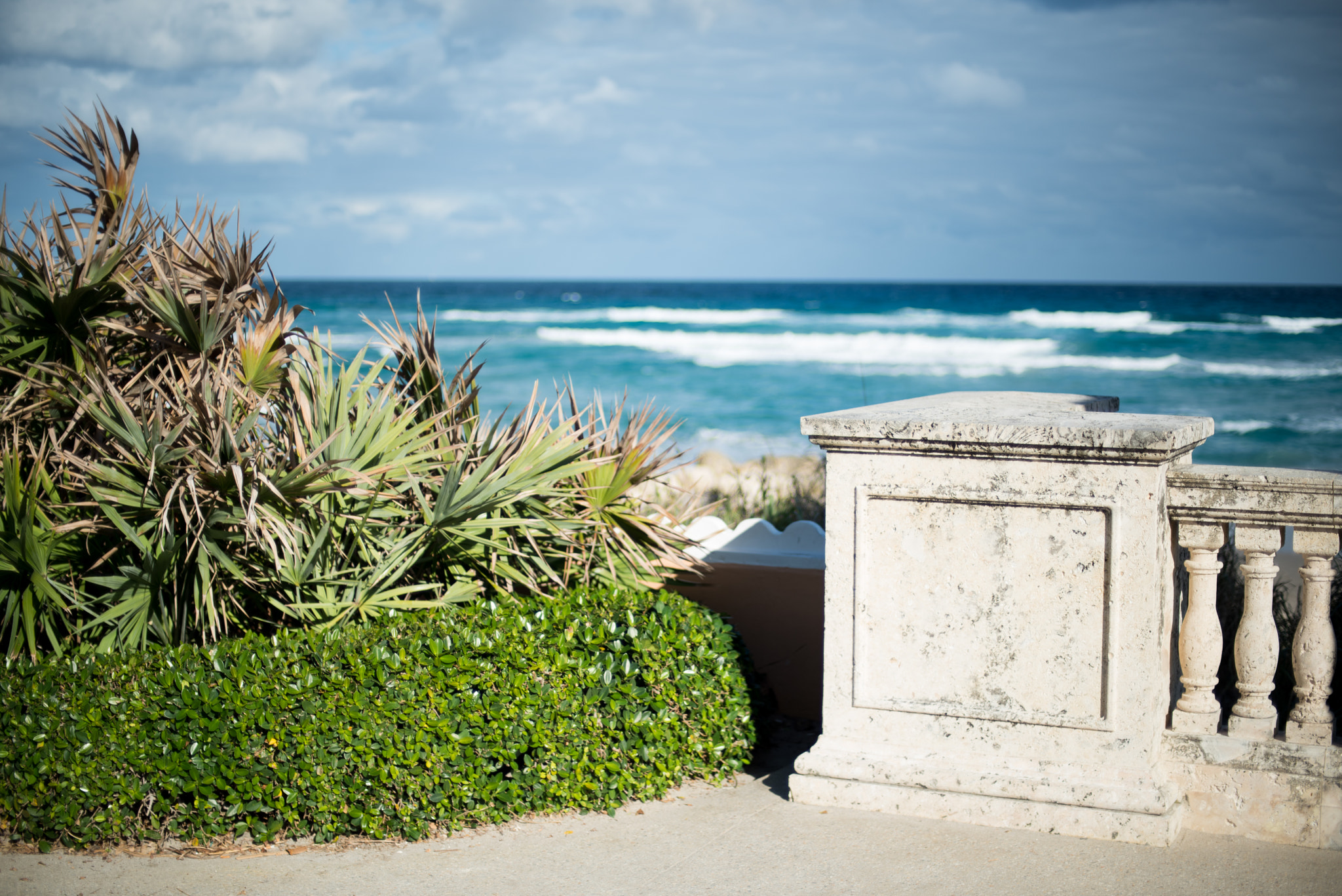 Nikon D810 + Nikon AF Nikkor 50mm F1.4D sample photo. Location scouting in palm beach photography