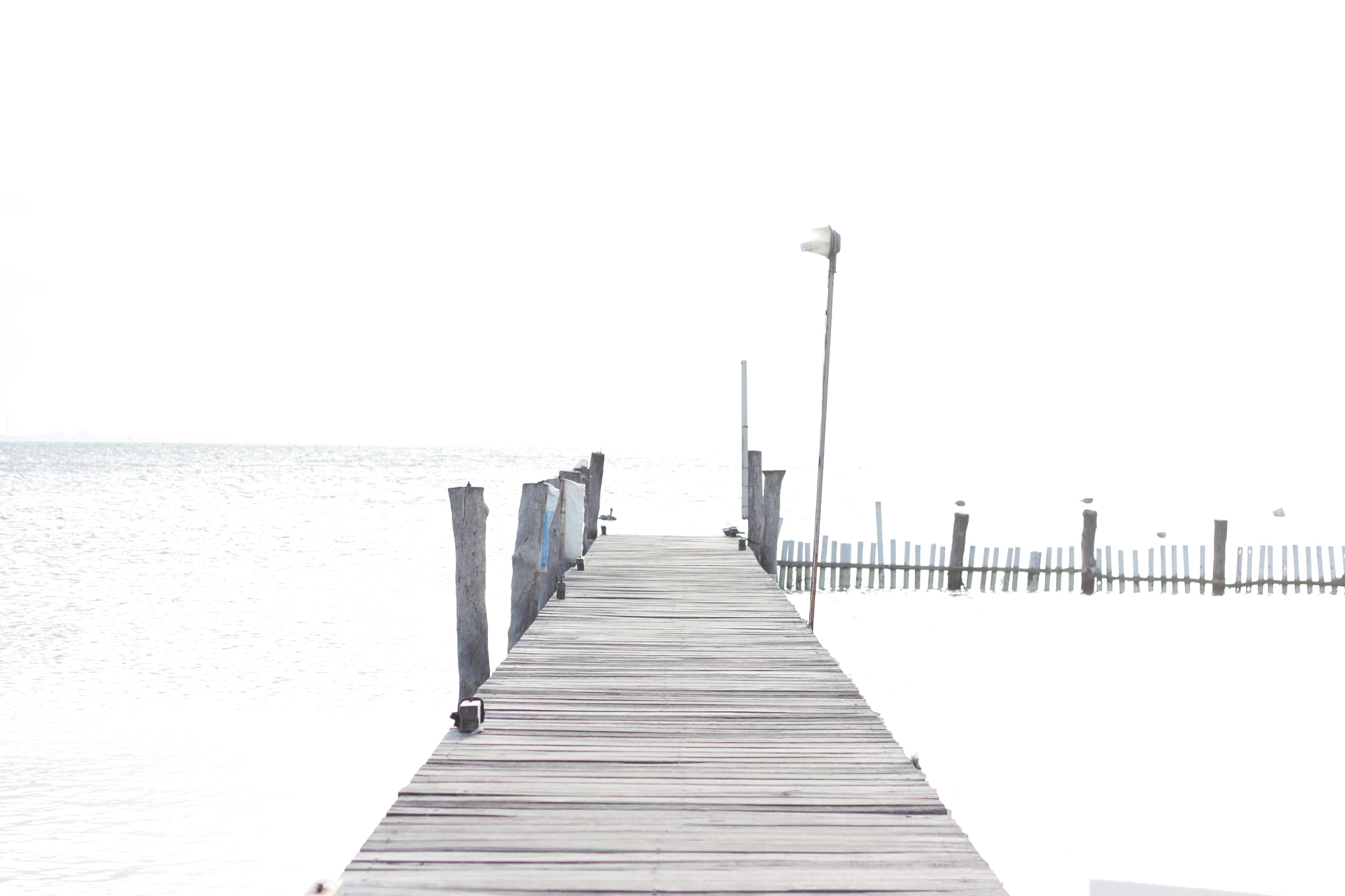 Canon EOS 650D (EOS Rebel T4i / EOS Kiss X6i) sample photo. Isla mujeres, méxico photography