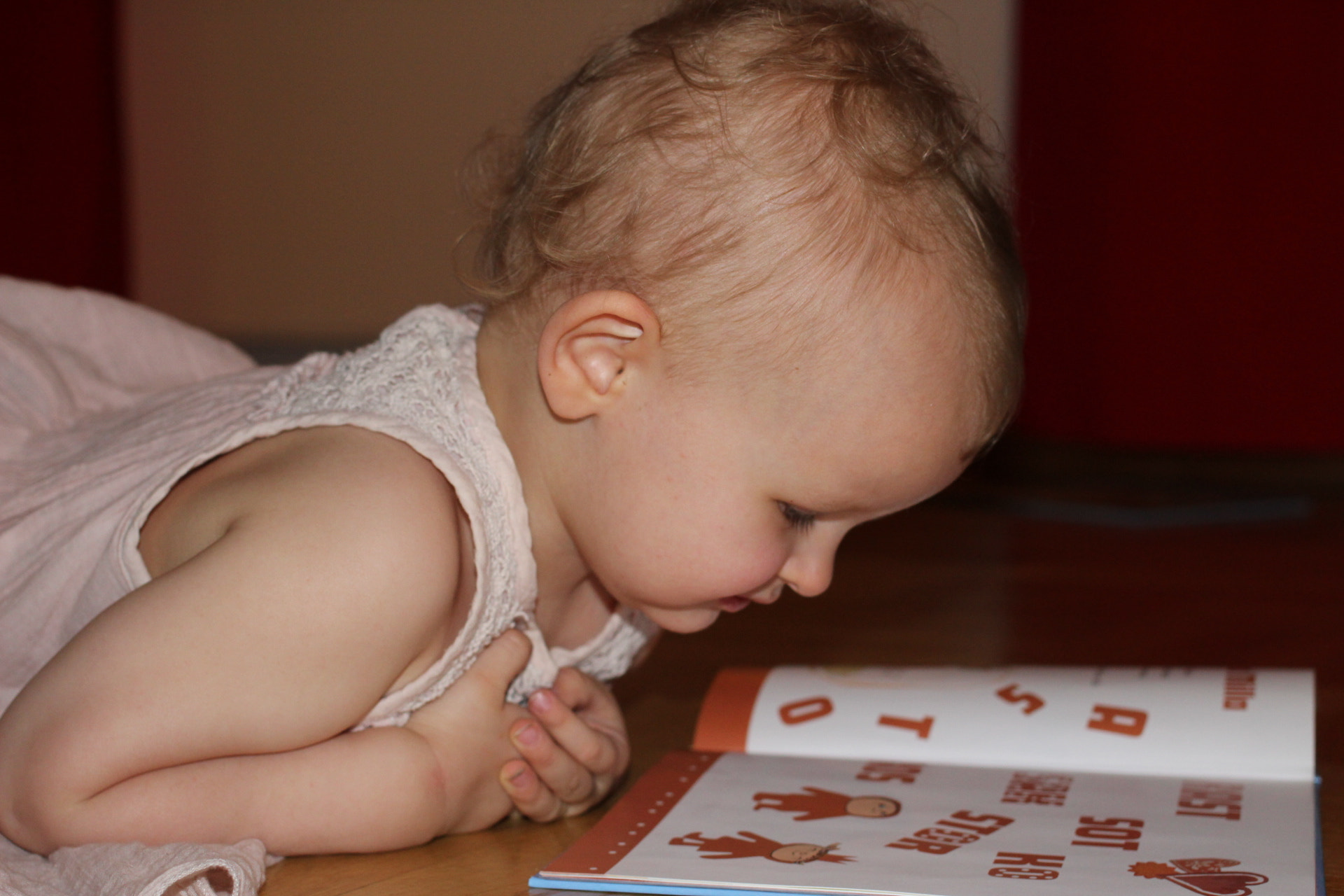 Canon EF 40mm F2.8 STM sample photo. Lilly is taking a break from the christmas celebrations. photography