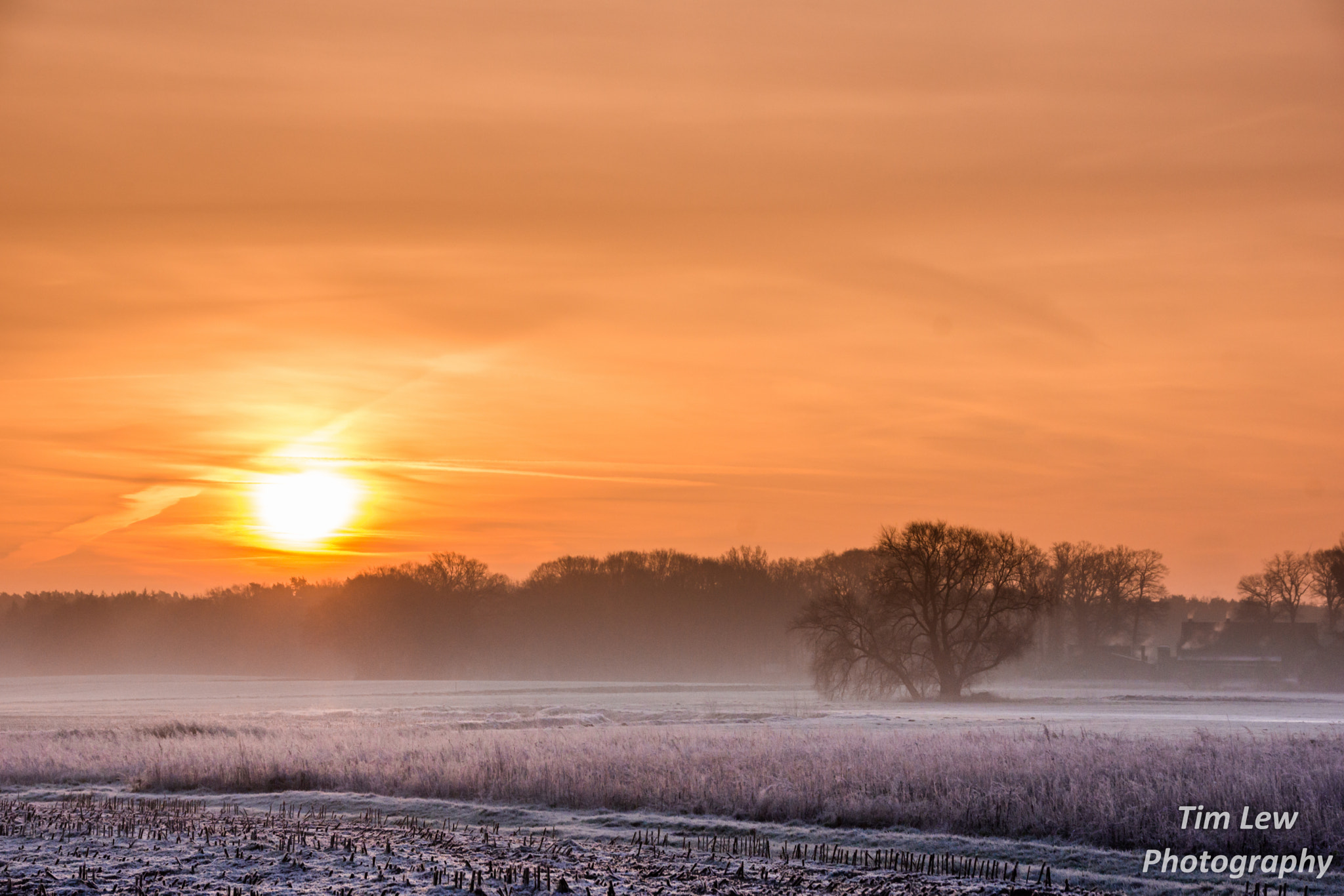 Sony SLT-A65 (SLT-A65V) sample photo. Frozen  photography