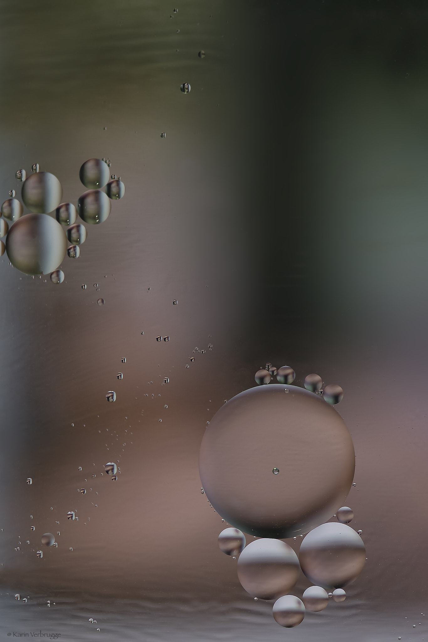 Nikon AF-S Micro-Nikkor 105mm F2.8G IF-ED VR sample photo. At the bottom of the ocean photography