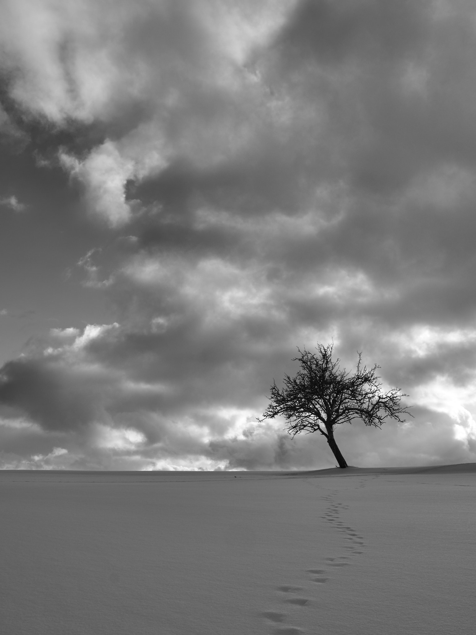 Sony SLT-A37 sample photo. Tracks in the snow photography