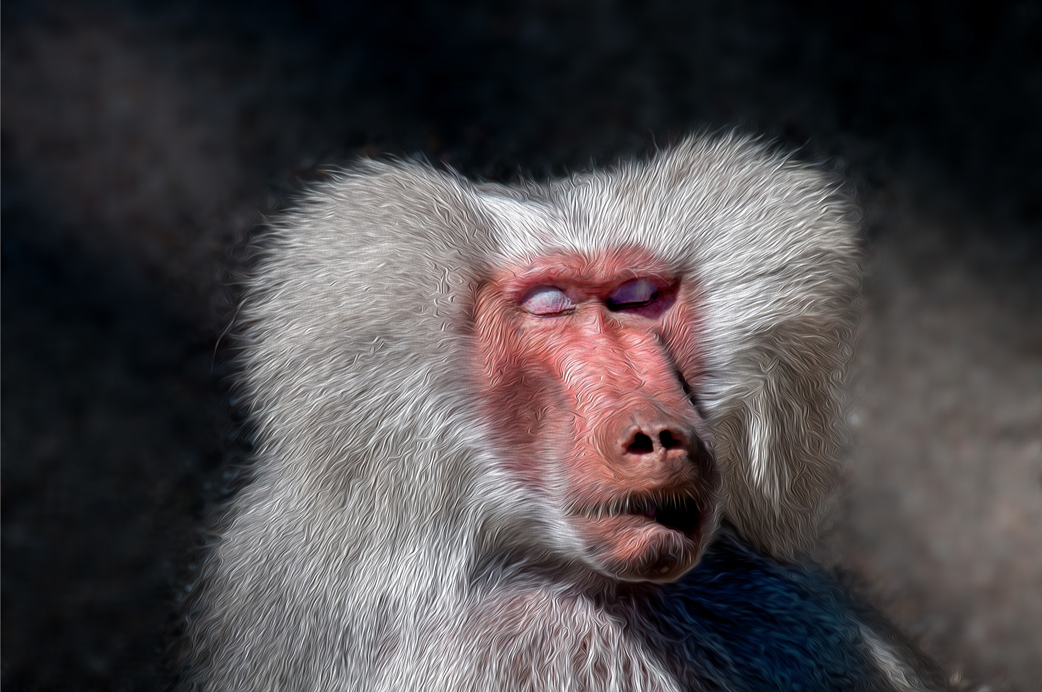 Nikon D300S sample photo. Dreaming ... photography