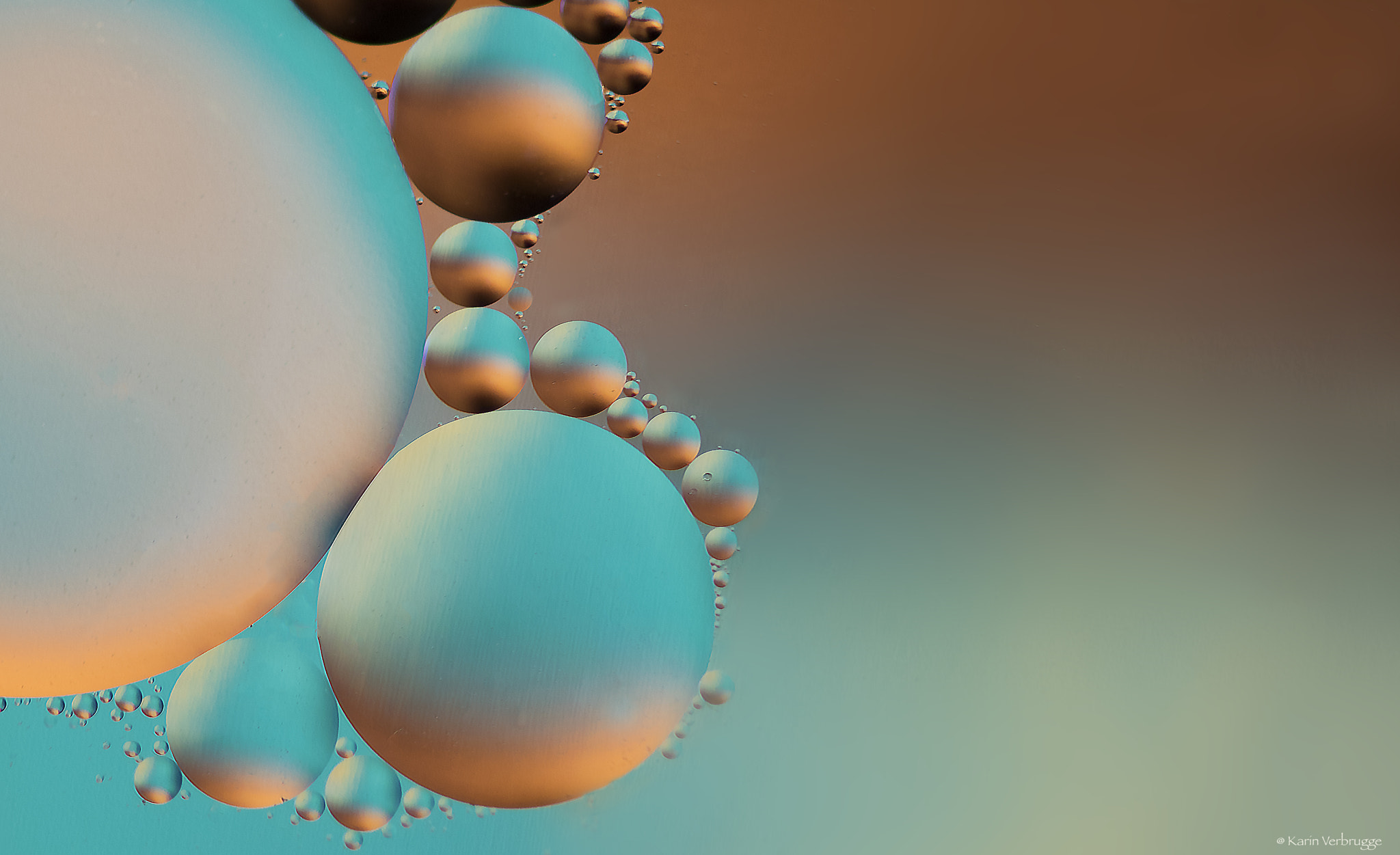 Nikon AF-S Micro-Nikkor 105mm F2.8G IF-ED VR sample photo. Spacebubbles photography