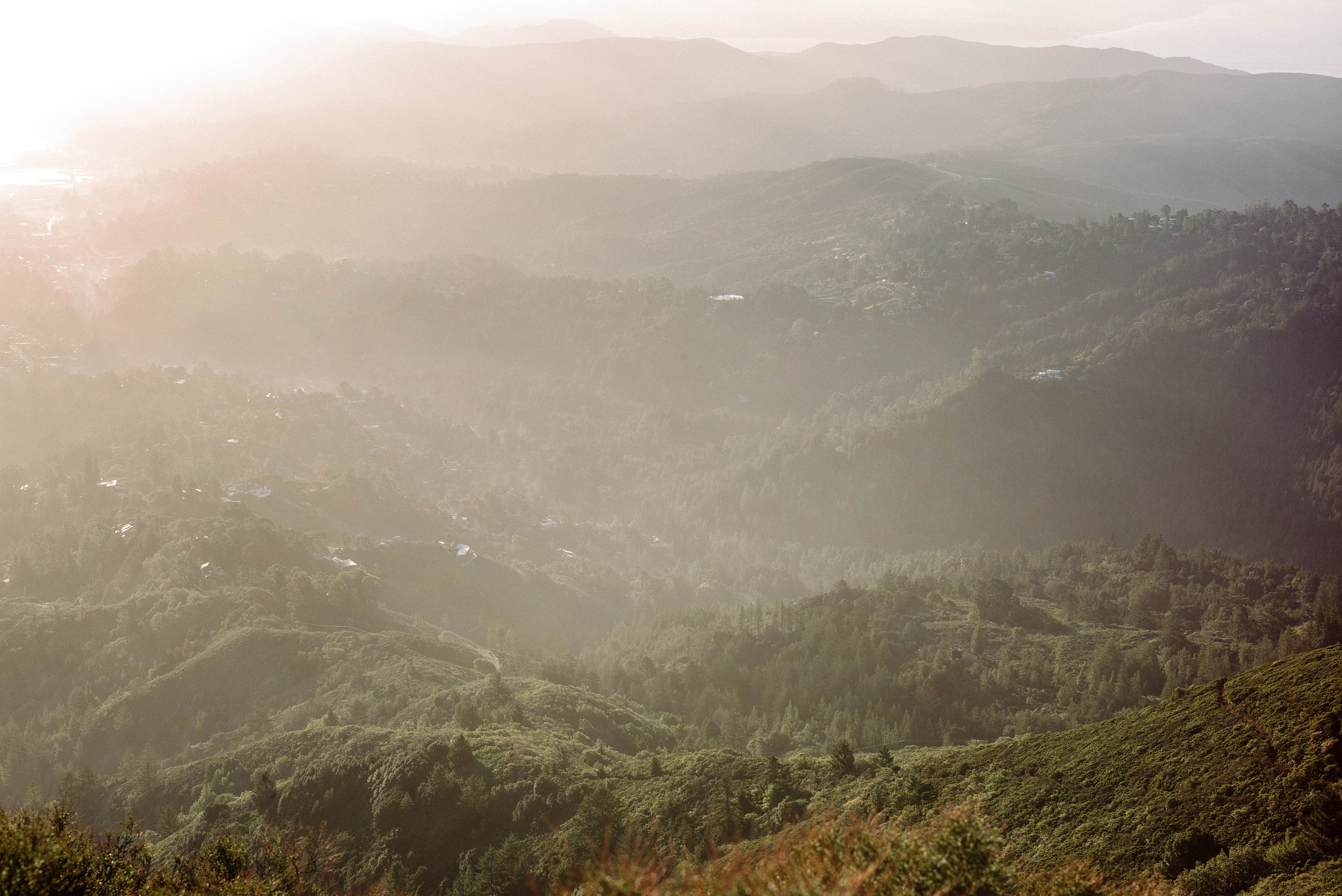 Leica APO-Summicron-M 50mm F2 ASPH sample photo. Morning sunlight on mt. tamalpais. photography