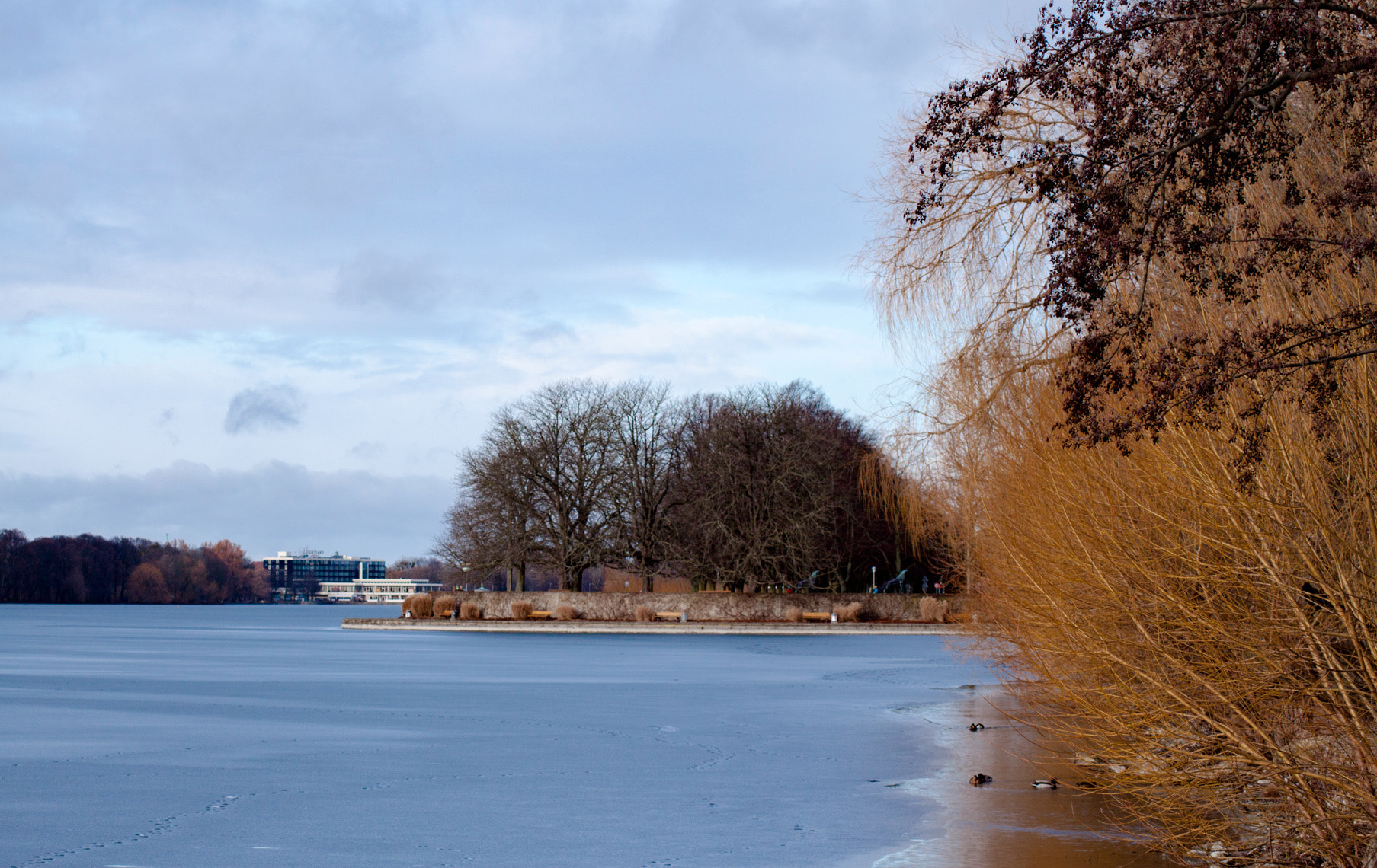 Canon EOS 500D (EOS Rebel T1i / EOS Kiss X3) sample photo. Frozen maschsee hannover photography