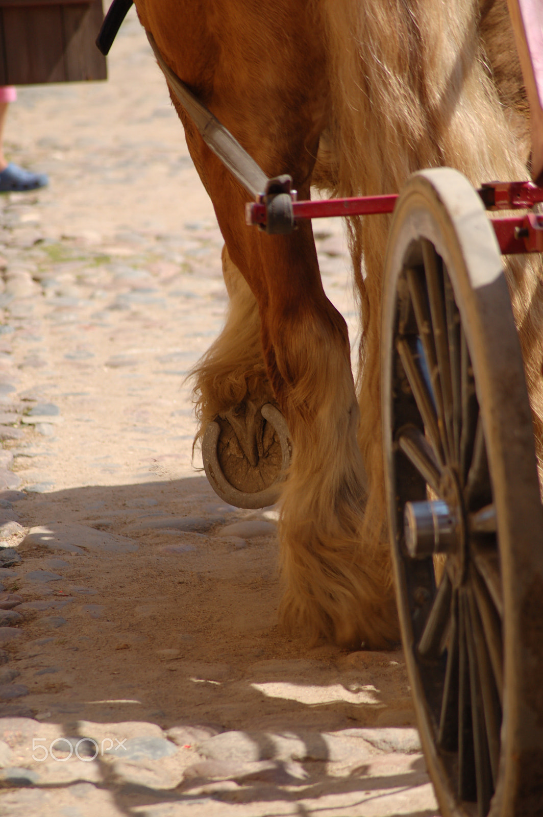 Nikon D50 sample photo. Slow rider photography