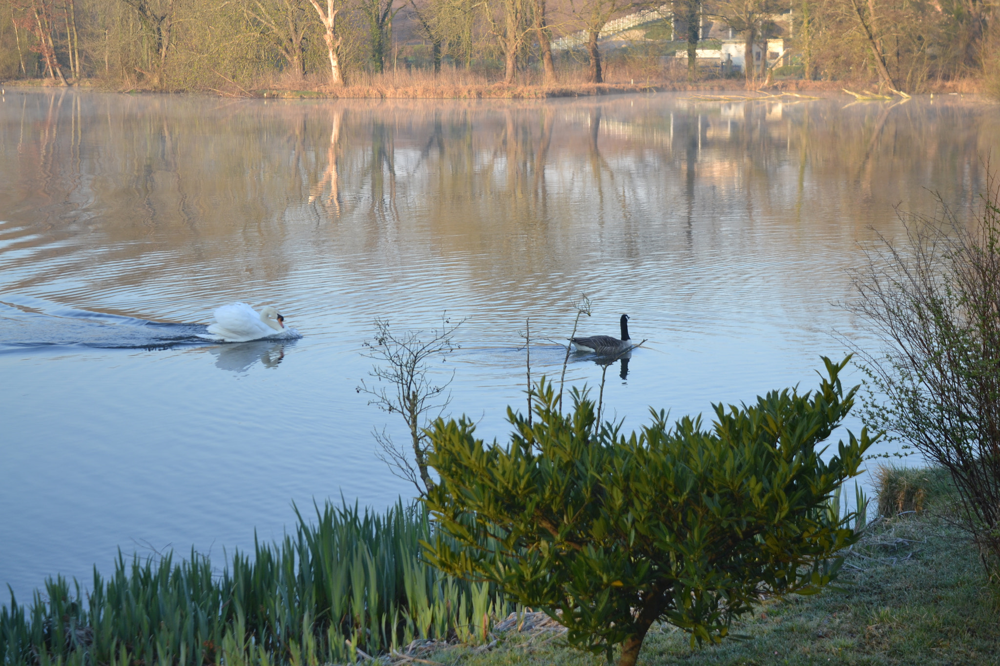 Nikon D3100 + Sigma 18-50mm F2.8-4.5 DC OS HSM sample photo. Birds chasing each other photography