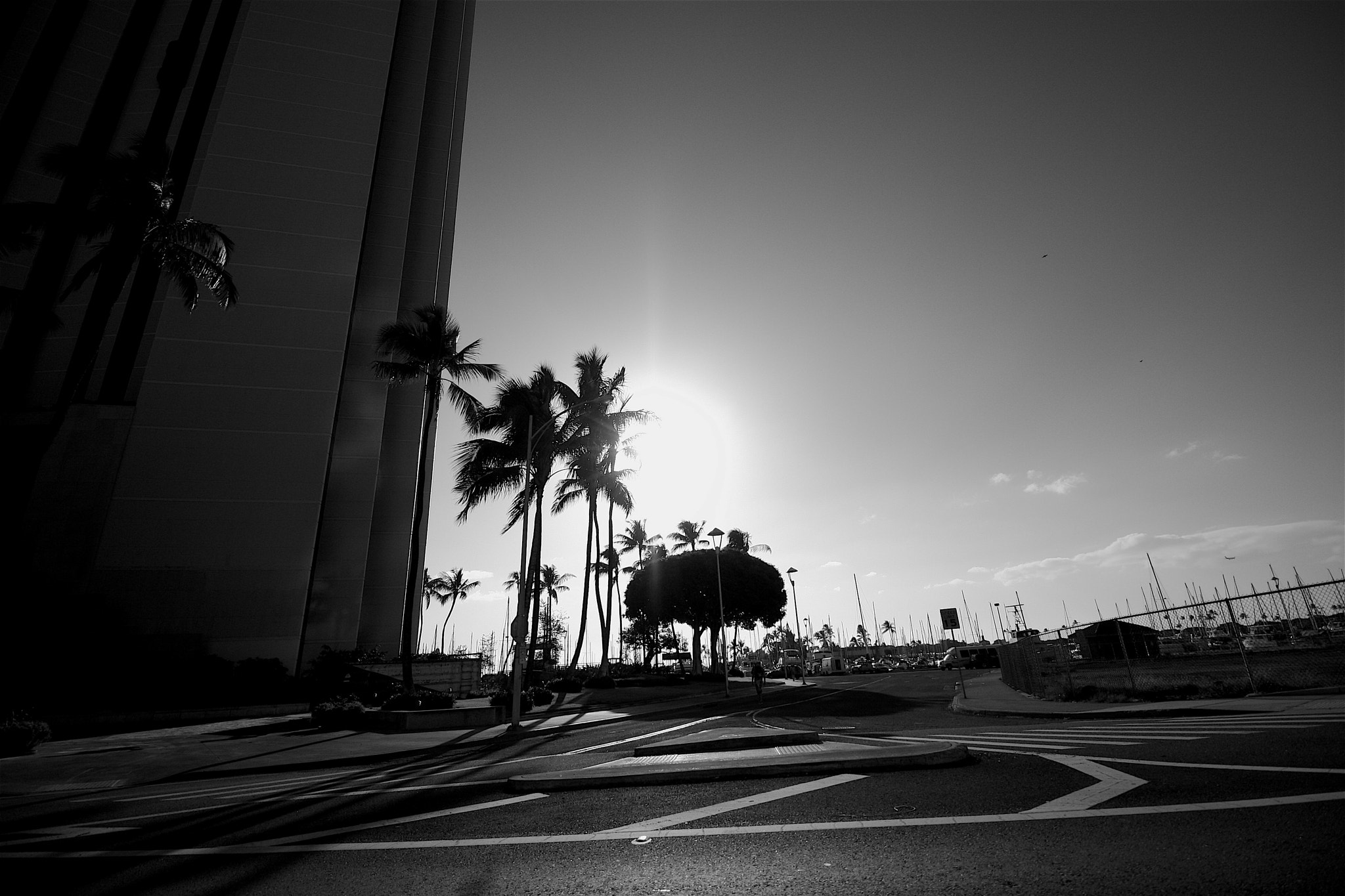 Canon EOS 40D + Canon EF-S 10-18mm F4.5–5.6 IS STM sample photo. Black and white sun photography