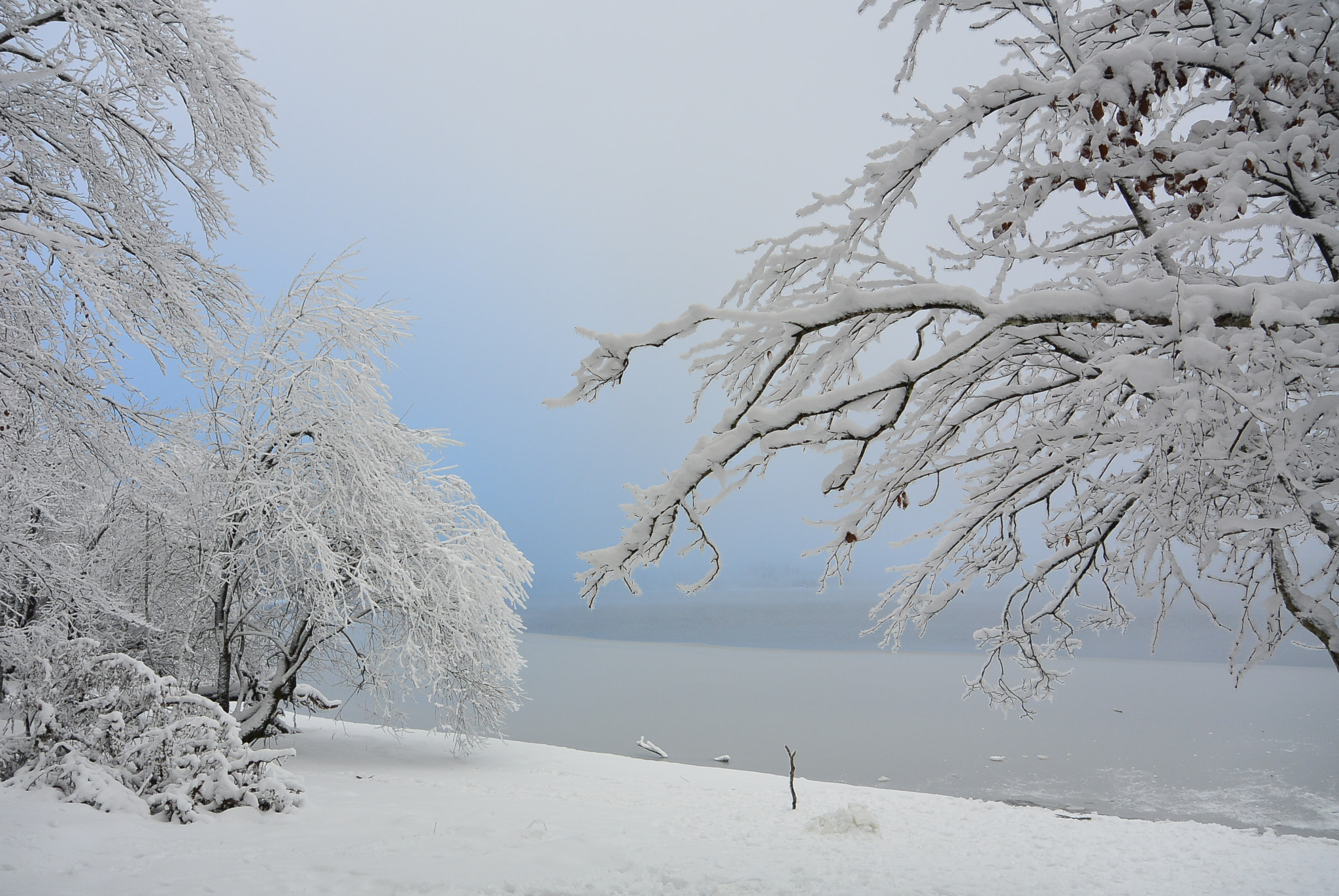 Nikon 1 S1 sample photo. Silent winter photography