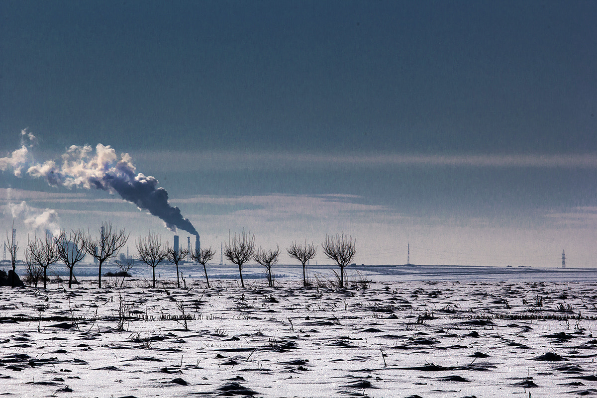 Canon EF-S 55-250mm F4-5.6 IS STM sample photo. Winter pastel photography