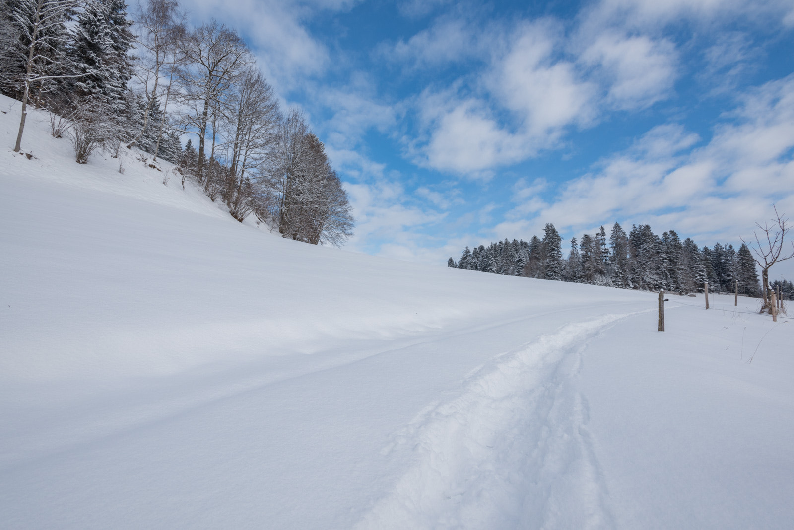 Nikon AF-S Nikkor 17-35mm F2.8D ED-IF sample photo. Snow track photography