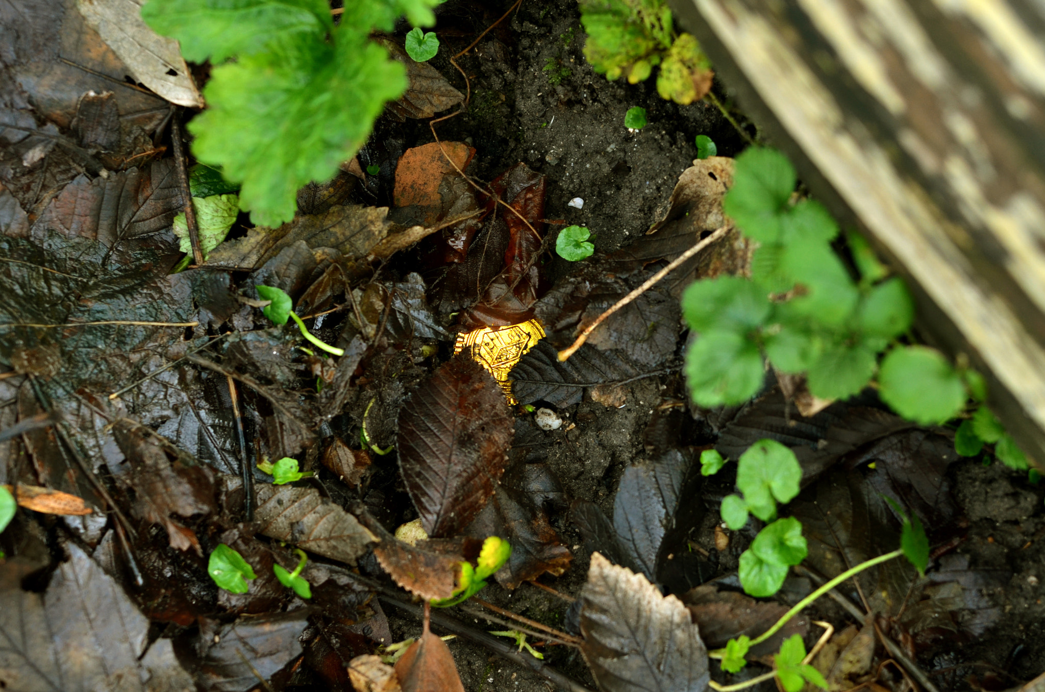 AF Nikkor 50mm f/1.4 sample photo. Winter in the belly of a snake photography