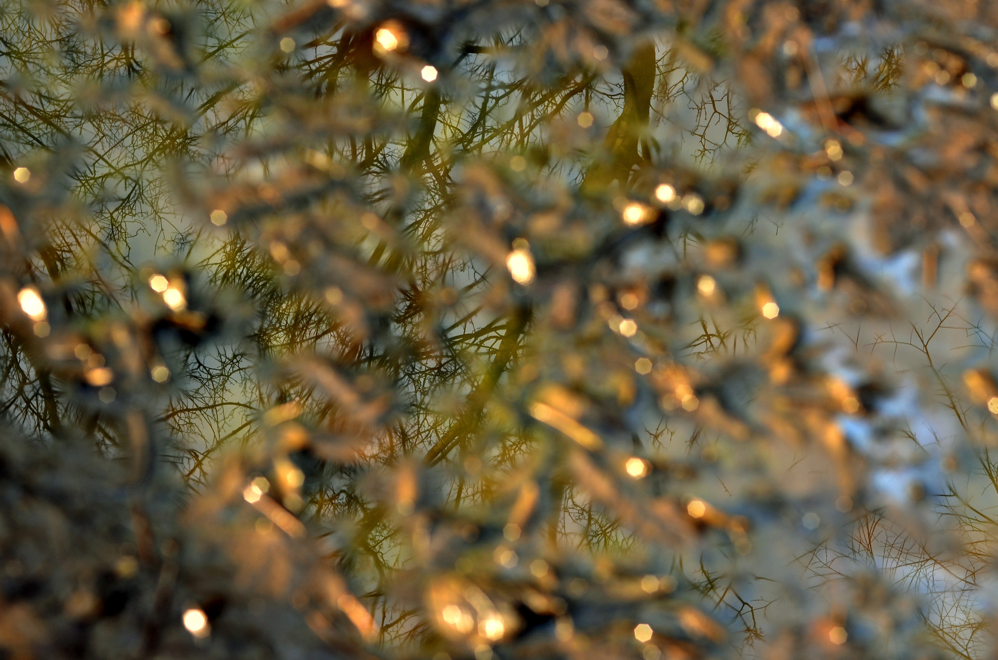 Nikon D7000 + AF Nikkor 50mm f/1.4 sample photo. Winter in the belly of a snake photography