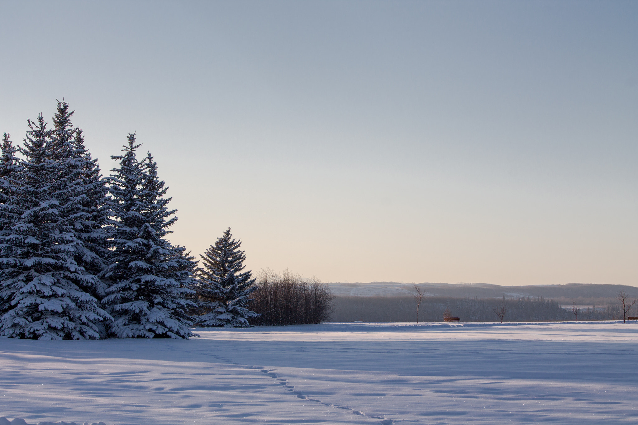Canon EF-S 55-250mm F4-5.6 IS STM sample photo. Glenmore park photography