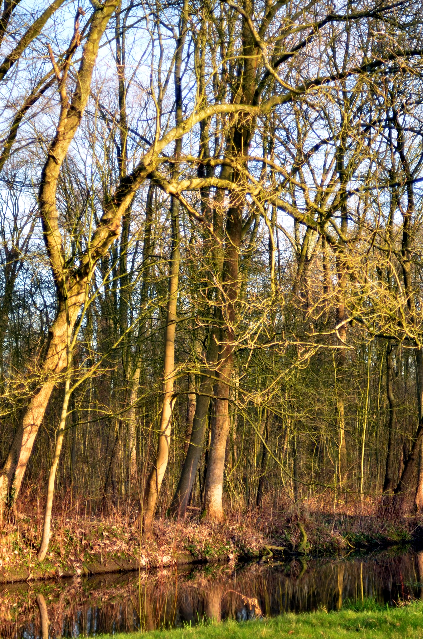 Nikon D7000 sample photo. Winter in the belly of a snake photography