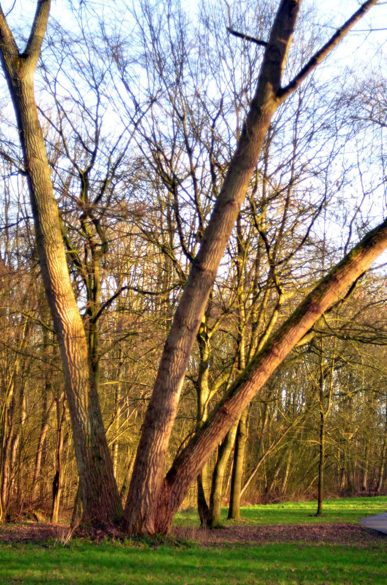 Nikon D7000 sample photo. Winter in the belly of a snake photography