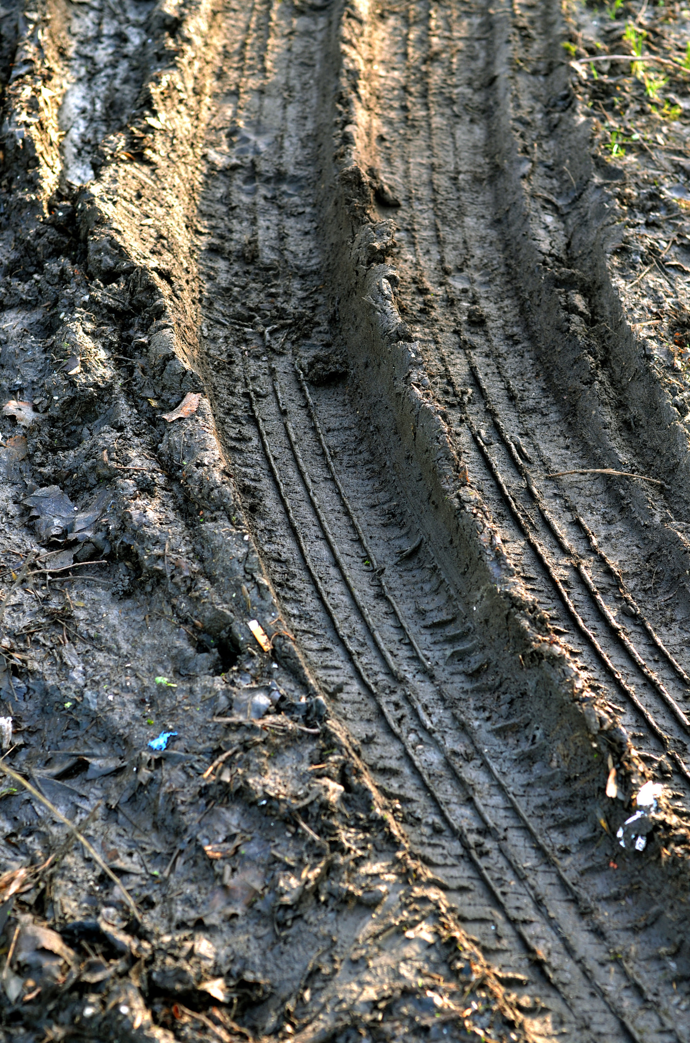 Nikon D7000 sample photo. Winter in the belly of a snake photography