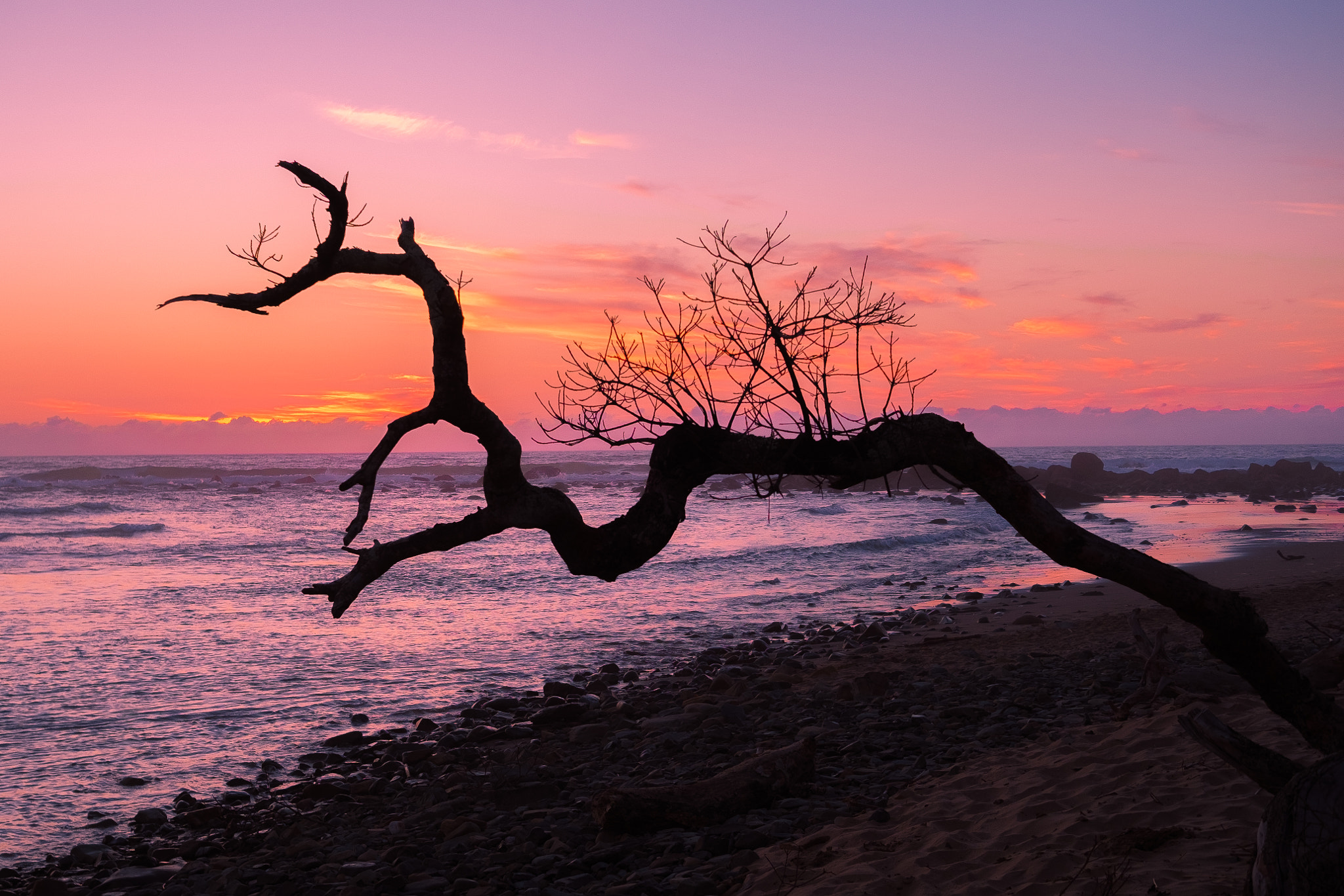 Fujifilm X-Pro1 sample photo. Broken tree on mbotyi beach photography