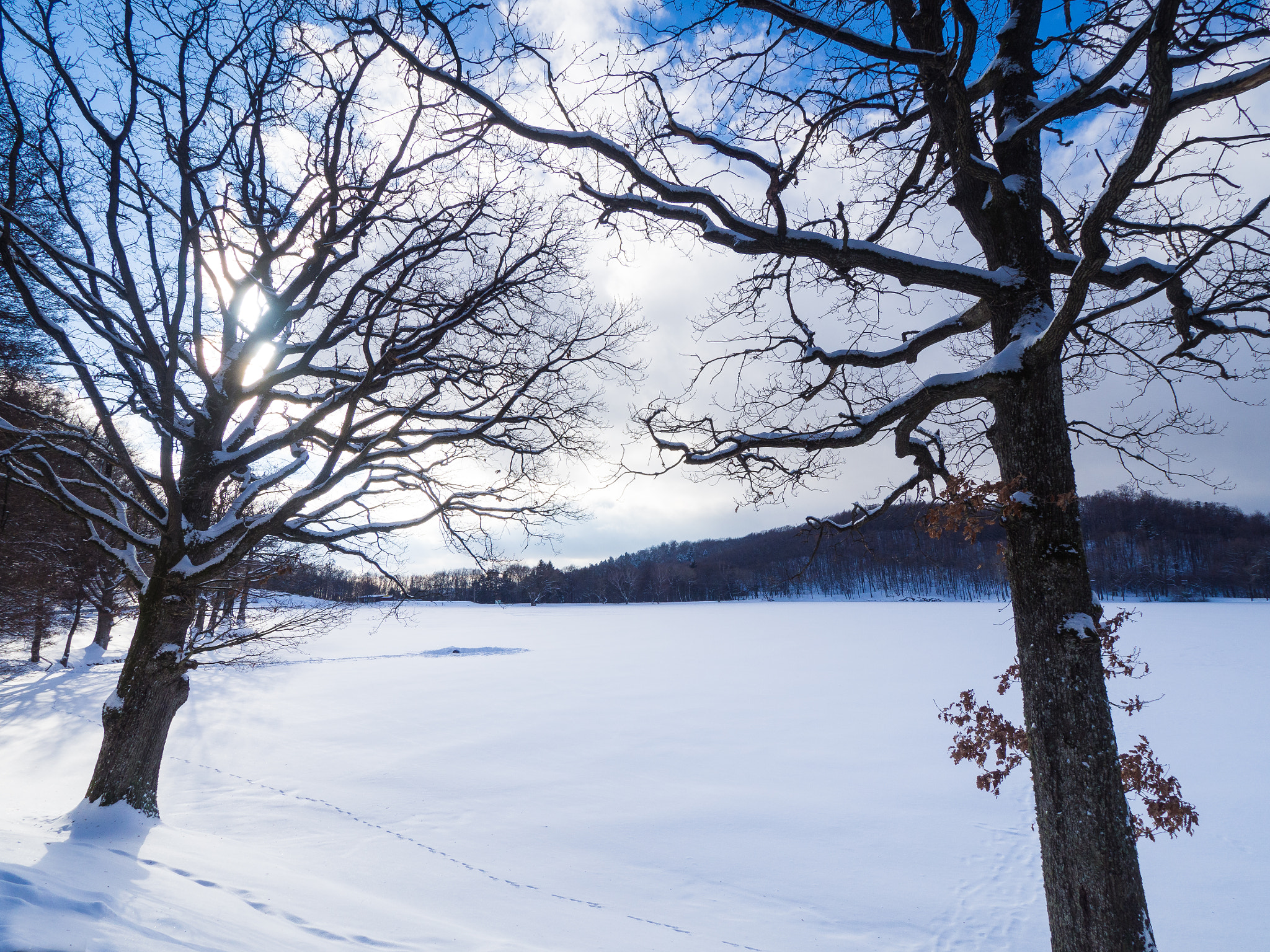 Olympus OM-D E-M10 II + OLYMPUS M.9-18mm F4.0-5.6 sample photo. Winter lake photography