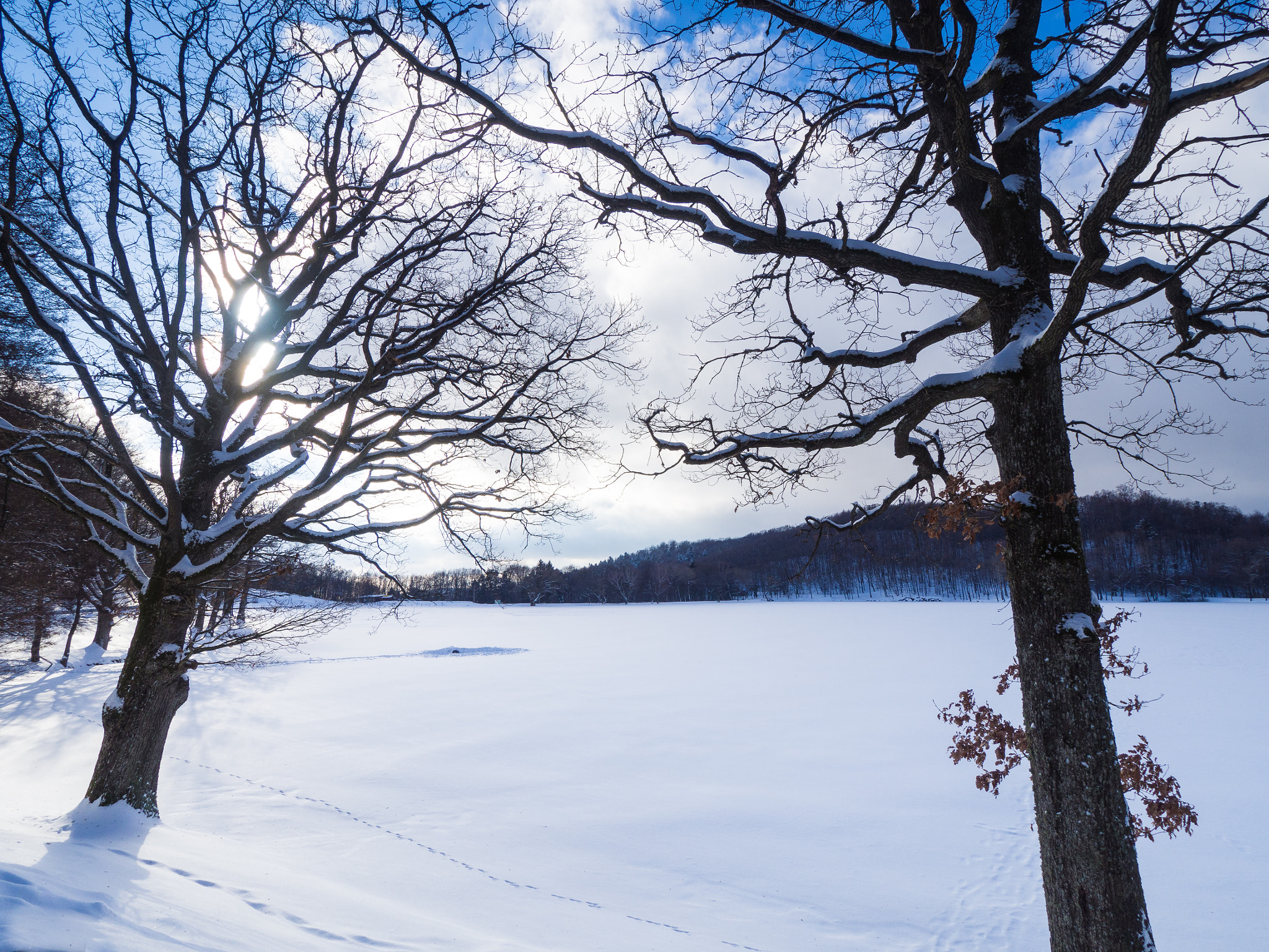 Olympus OM-D E-M10 II sample photo. Winter lake photography