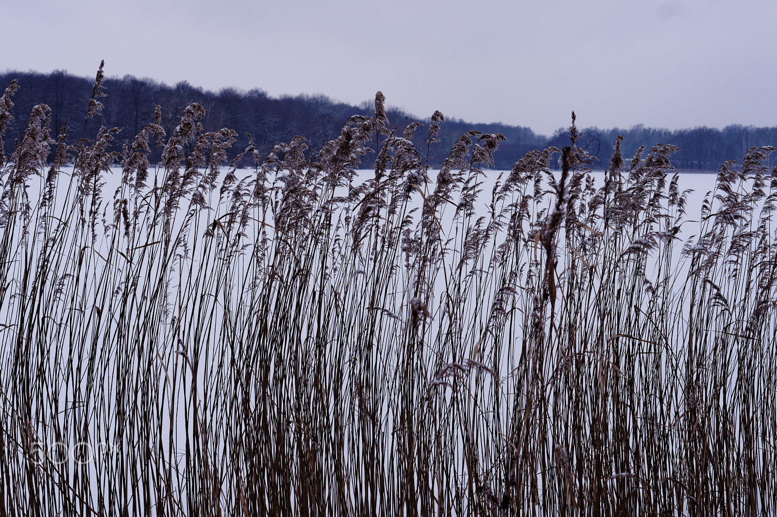 Sony Alpha DSLR-A700 + Sony DT 50mm F1.8 SAM sample photo. Lake. photography