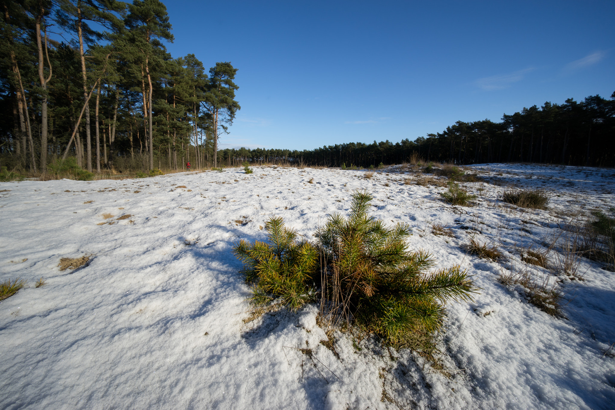 Sony a7 + Voigtlander ULTRA WIDE-HELIAR 12mm F5.6 III sample photo