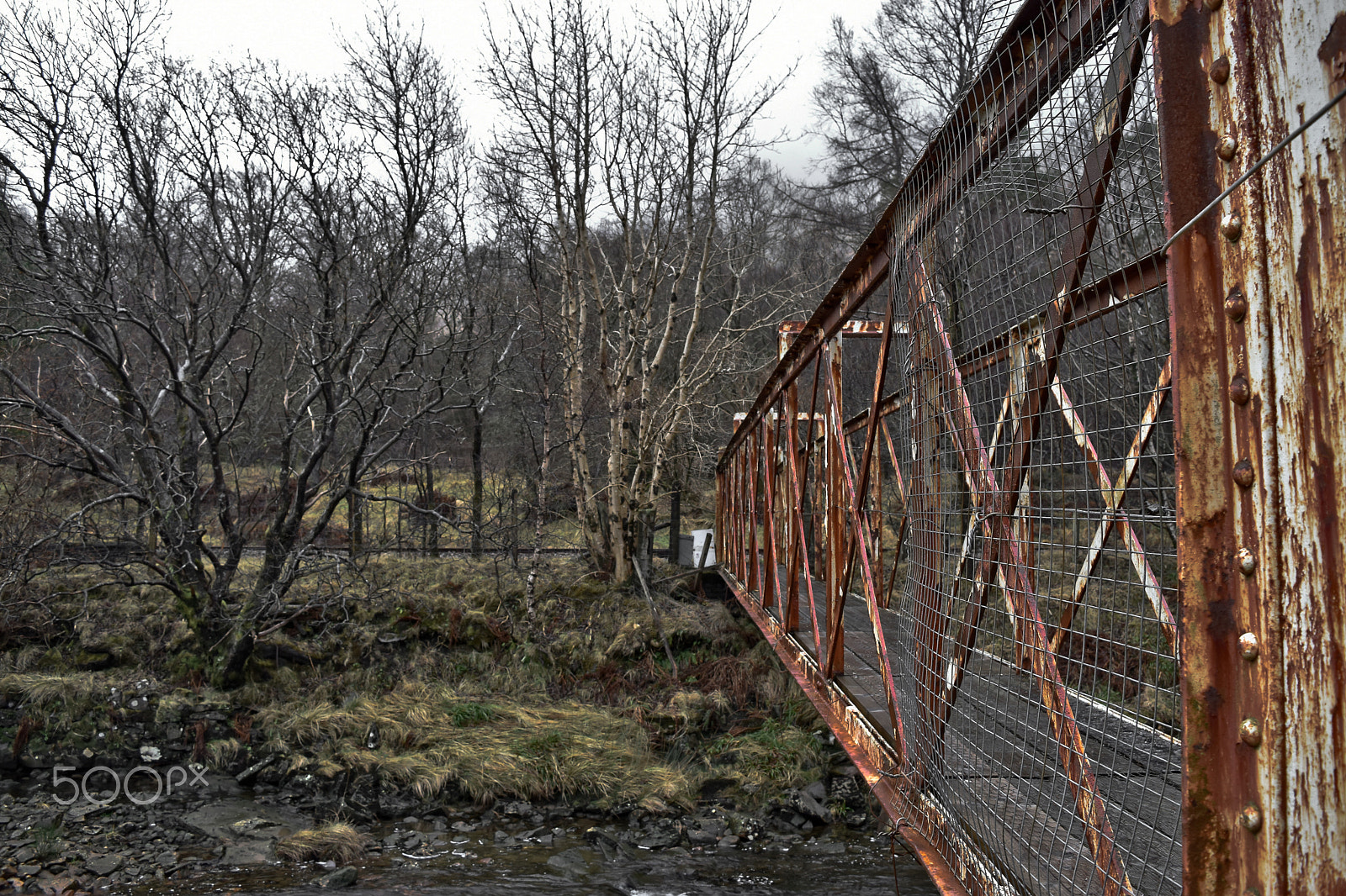 Nikon AF DX Fisheye-Nikkor 10.5mm F2.8G ED sample photo. Bridge to the woods photography