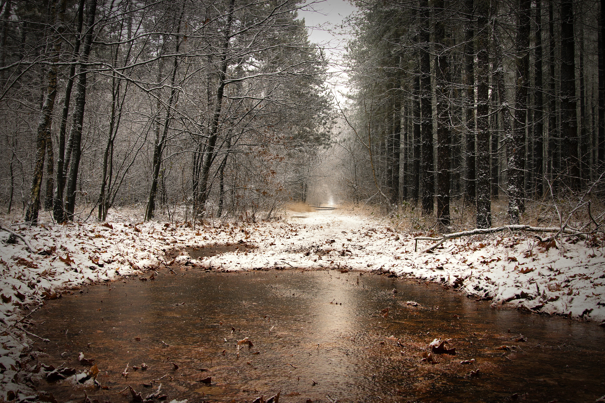 Canon EOS 70D + Sigma 24-105mm f/4 DG OS HSM | A sample photo. Dutch winter landscape photography