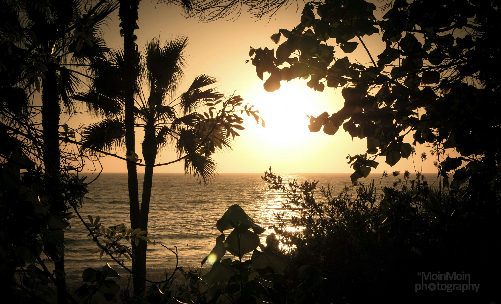 Panasonic DMC-G70 sample photo. Sunset at laguna beach  photography