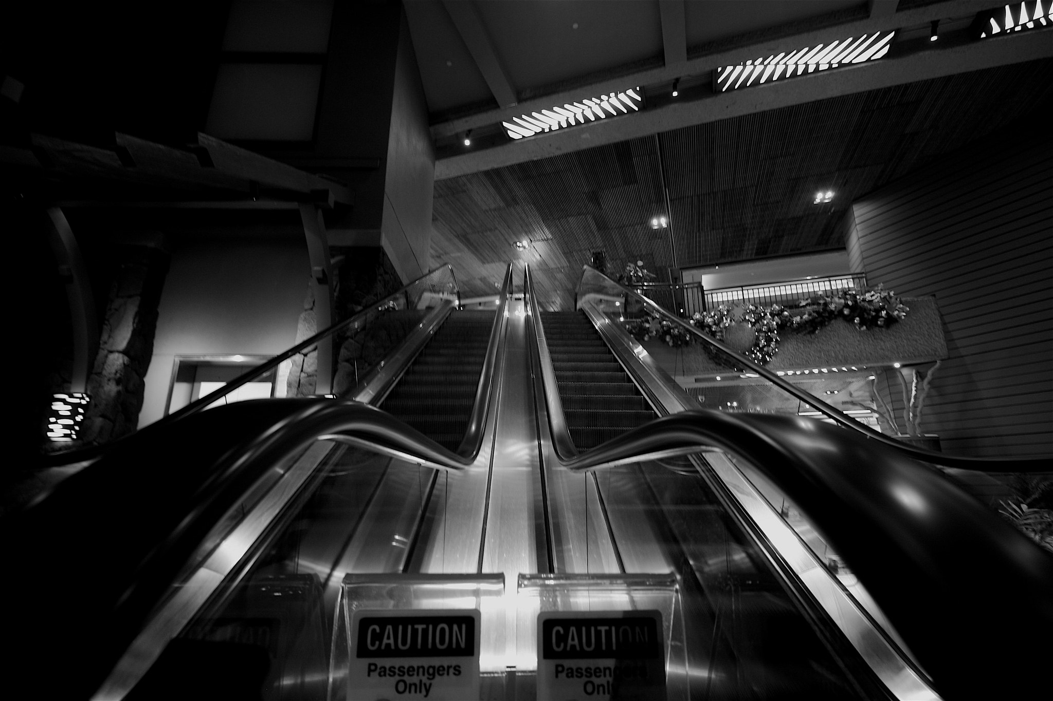 Canon EOS 40D sample photo. Caution photography
