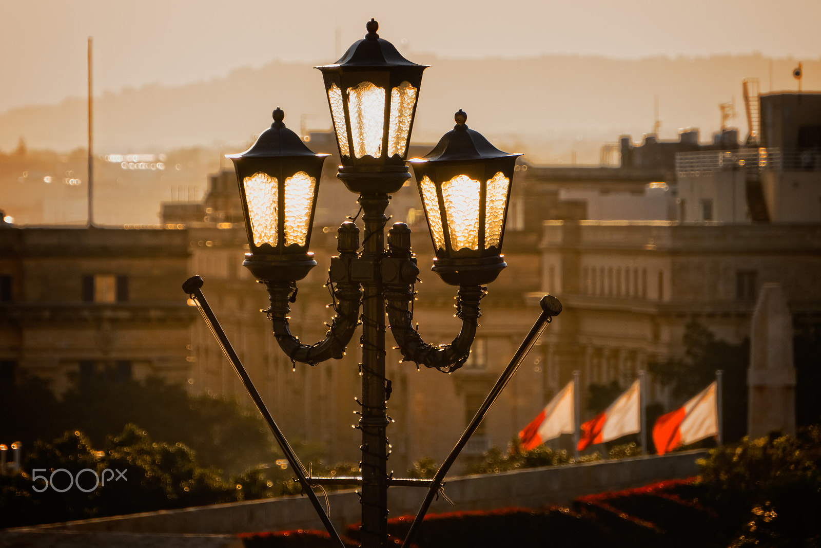 Sony a6300 + Sony E 55-210mm F4.5-6.3 OSS sample photo. Lights out photography