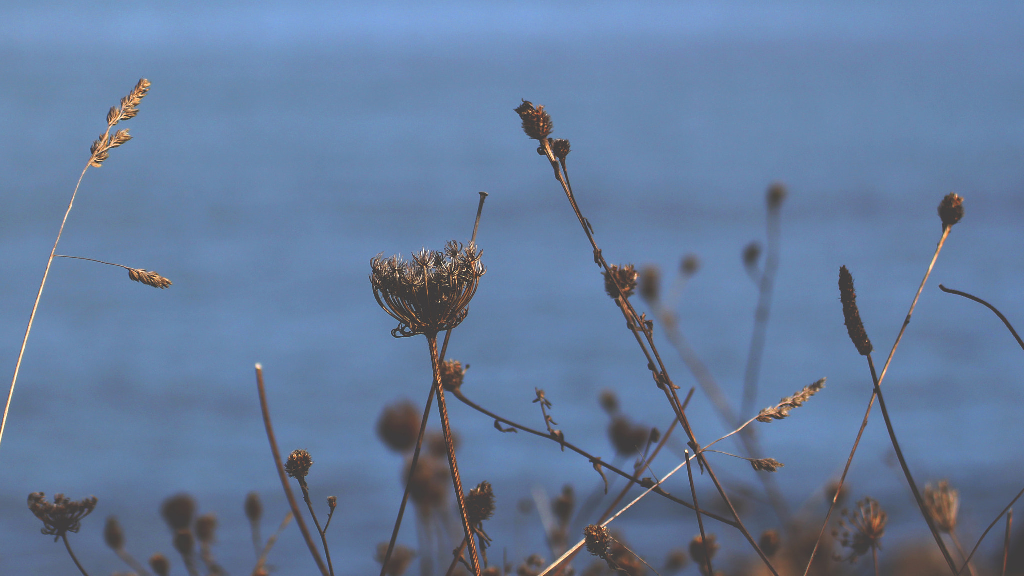 Canon EOS 60D sample photo. Today will not be the day dream photography