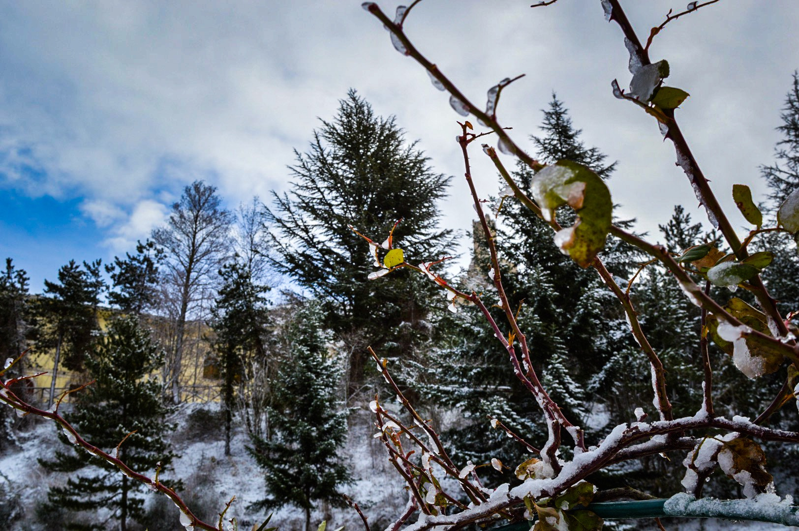 Nikon D3200 sample photo
