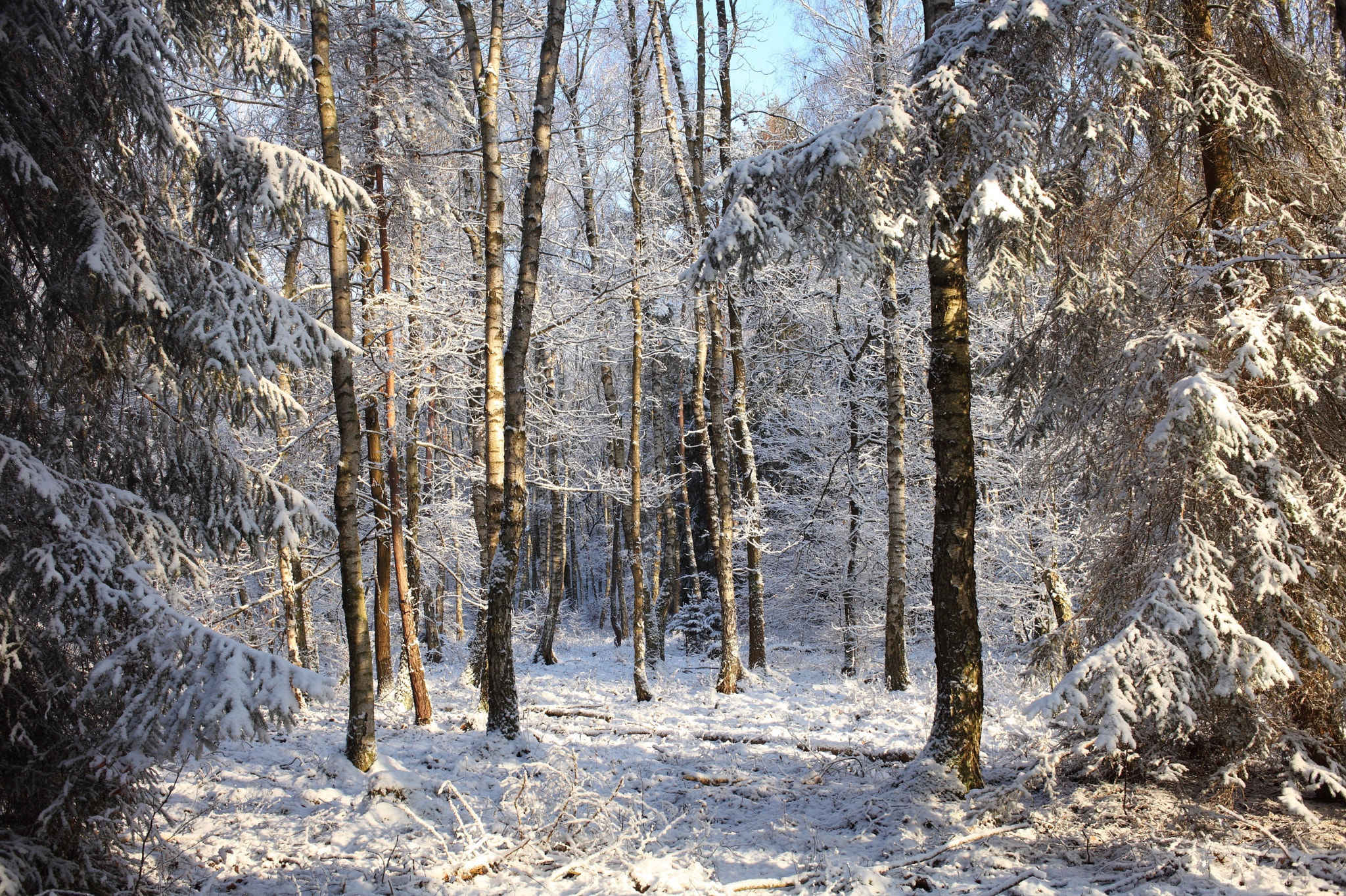 Canon EOS 5D Mark II sample photo. Sunny winter morning photography