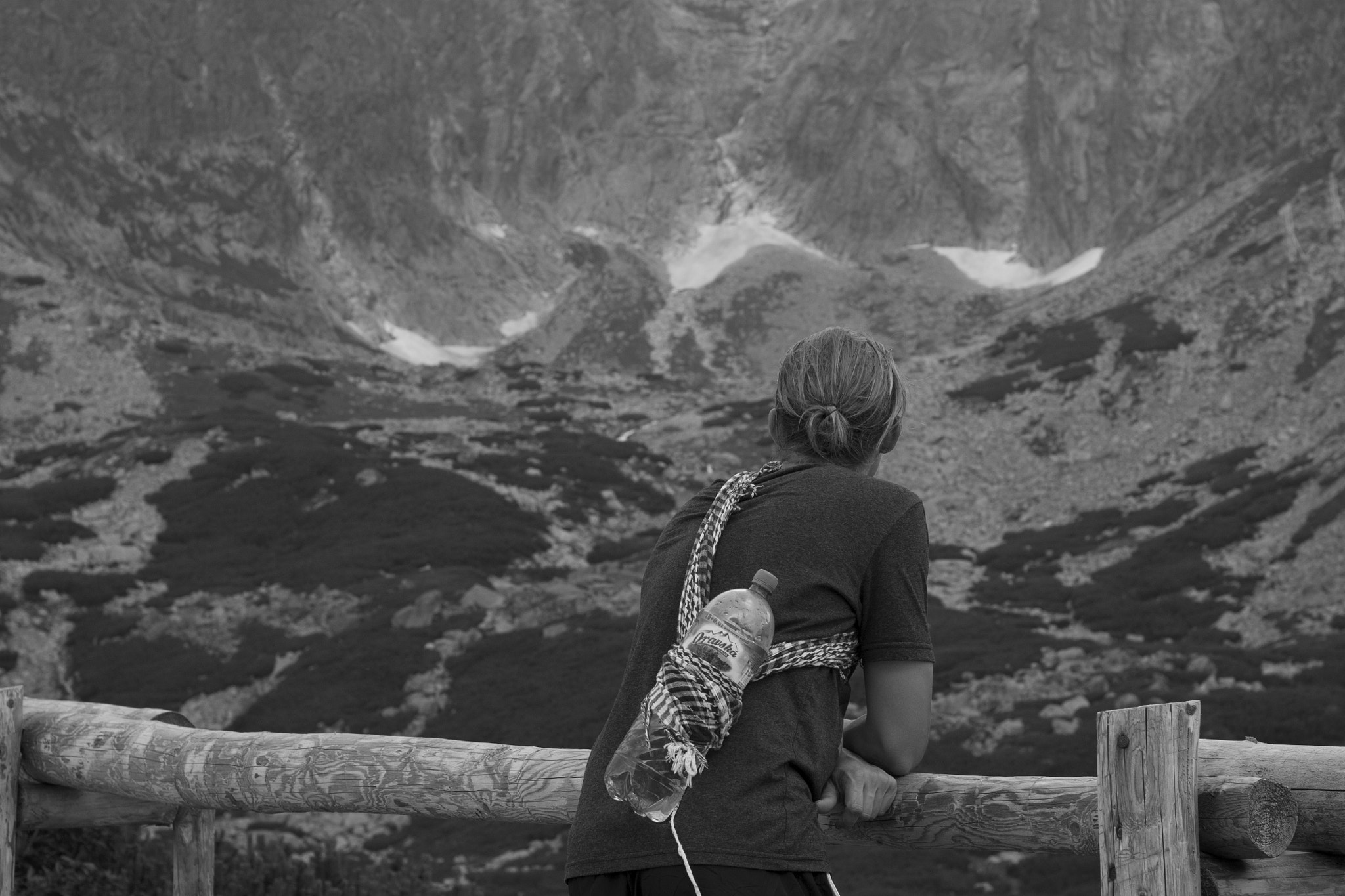 Canon EOS 450D (EOS Rebel XSi / EOS Kiss X2) + Canon EF 50mm F1.8 STM sample photo. Tatry, slovakia photography