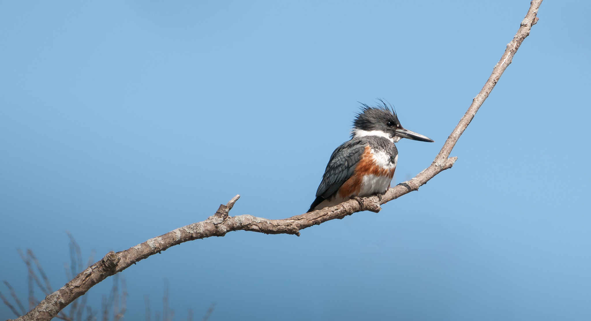 Nikon AF-S Nikkor 200-500mm F5.6E ED VR sample photo