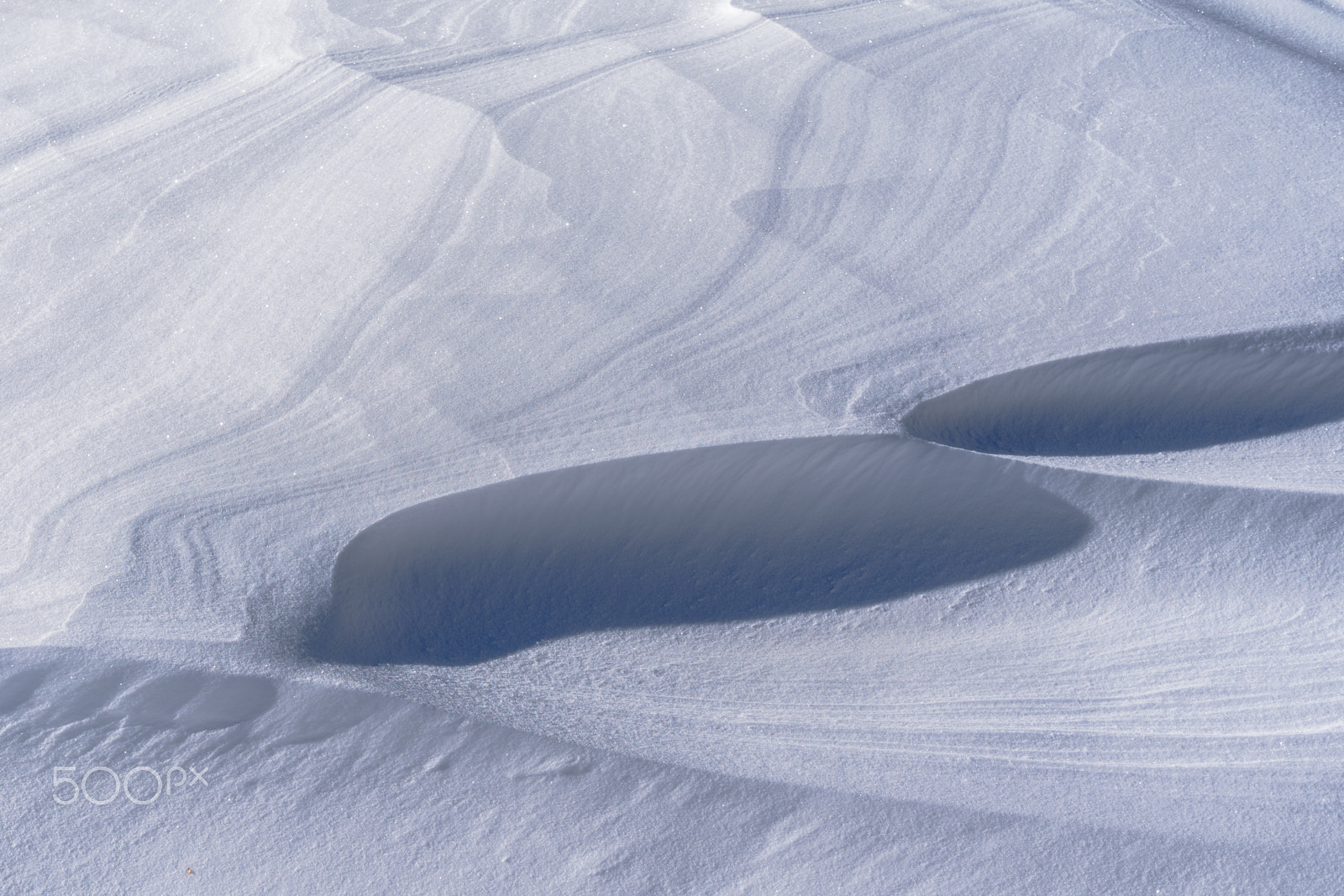 Nikon D5500 sample photo. Snow or marble? photography