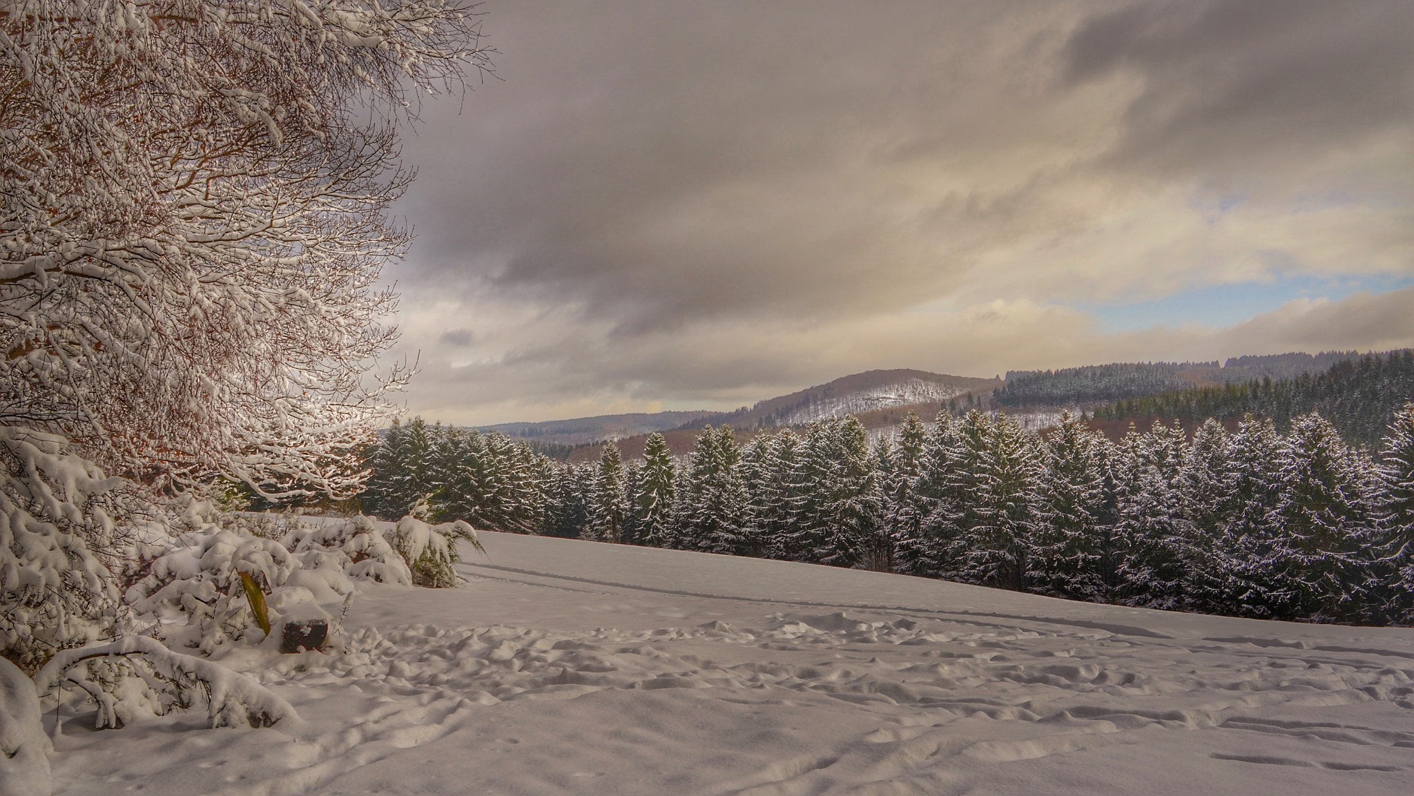Sony a7R + Sony Vario Tessar T* FE 24-70mm F4 ZA OSS sample photo. Winterlandschaft in der ahreifel photography