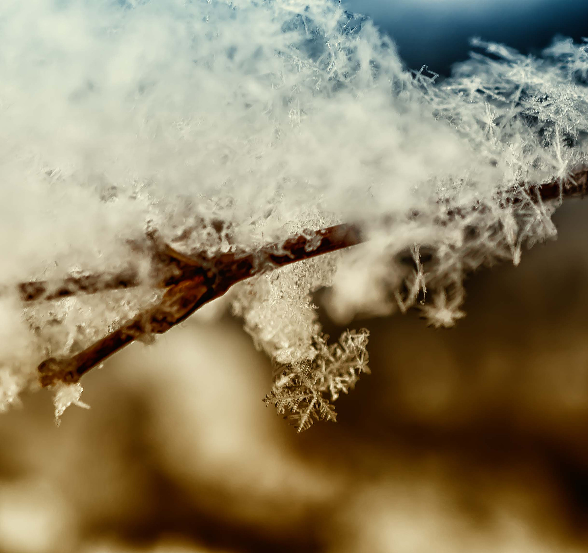 Sony a6300 + Sony E 30mm F3.5 Macro sample photo. Snowflakes photography