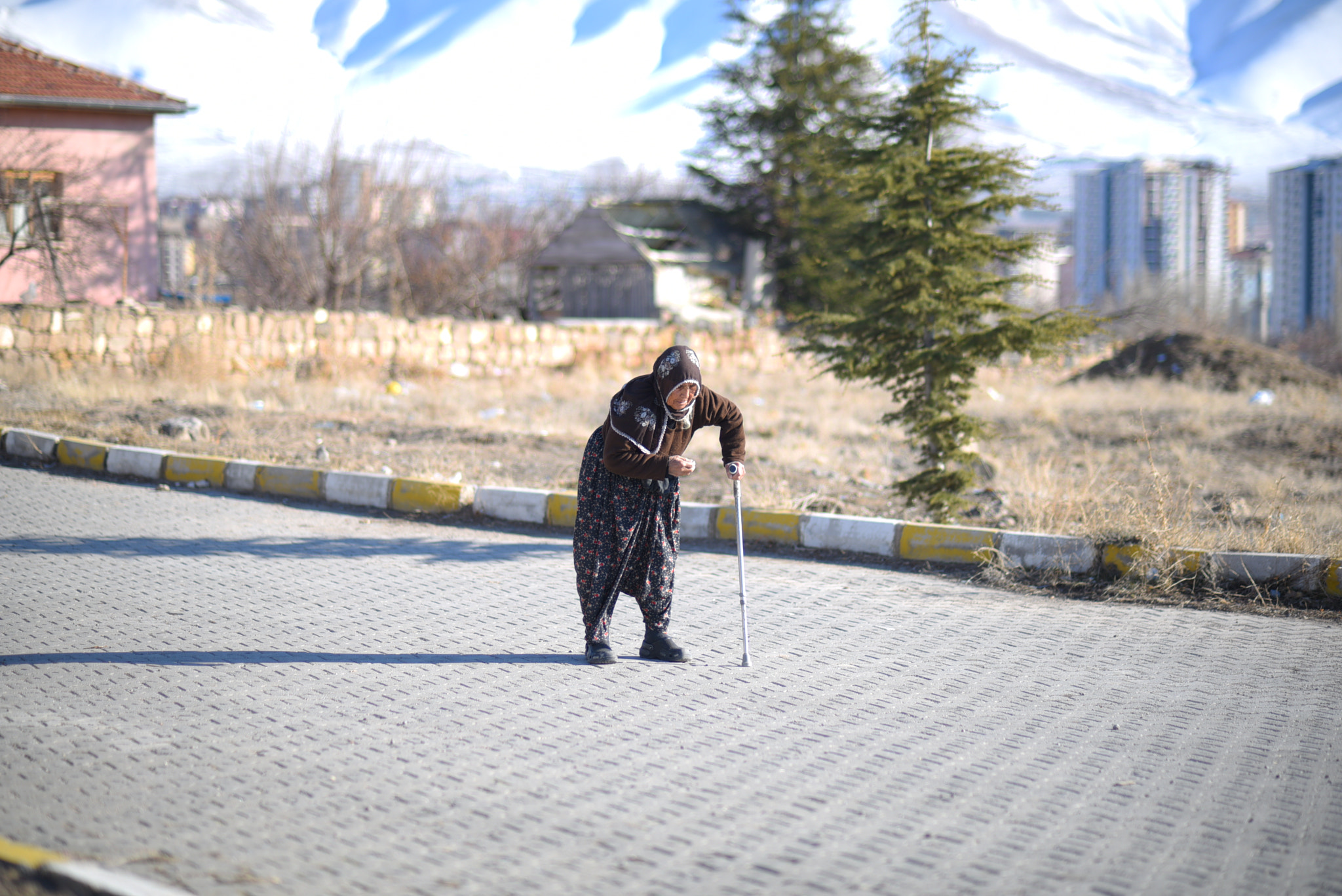 Nikon D750 + AF Nikkor 85mm f/1.8 sample photo. Grandmother photography