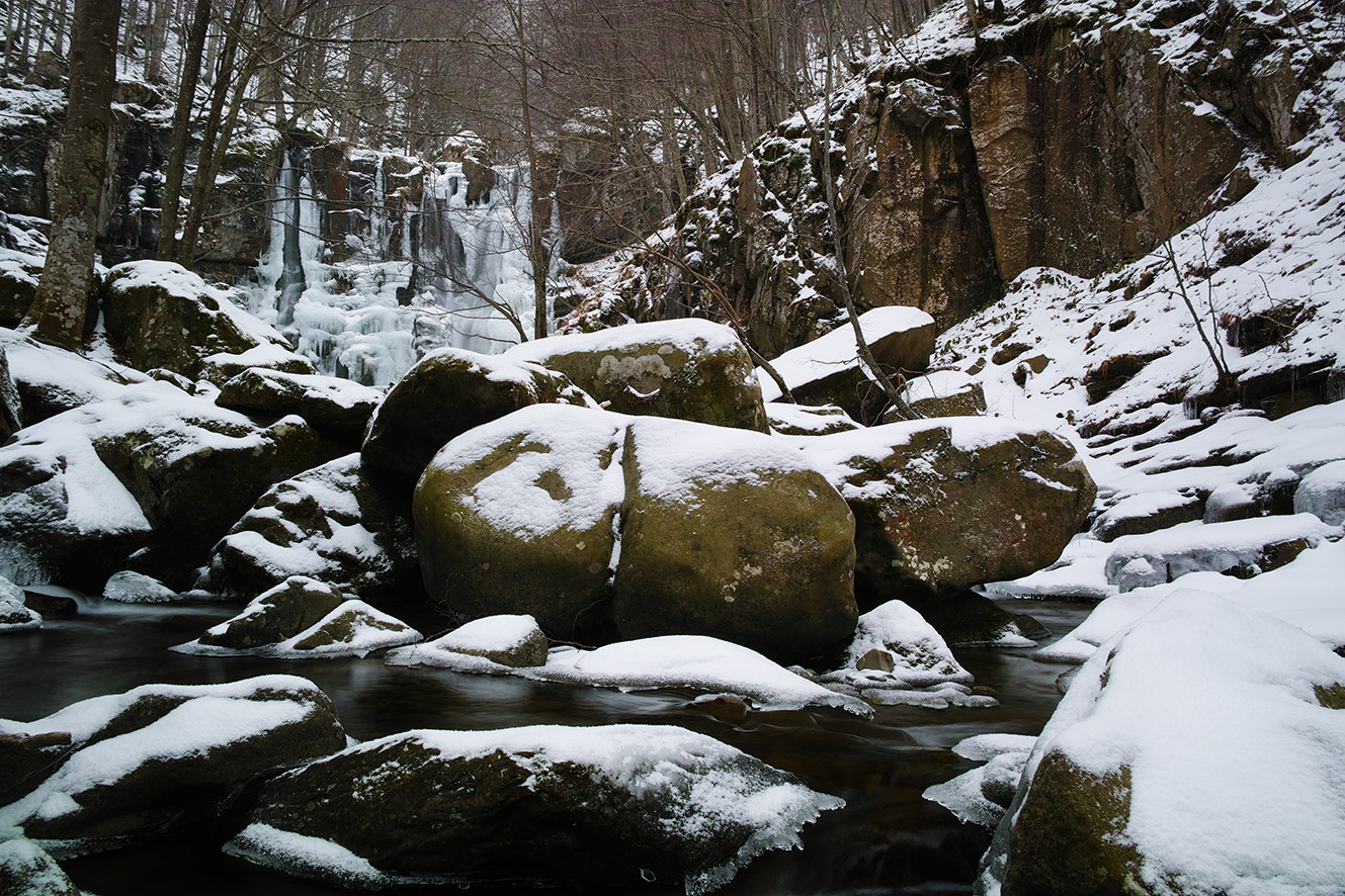 Sigma dp1 Quattro sample photo. Cold winter photography