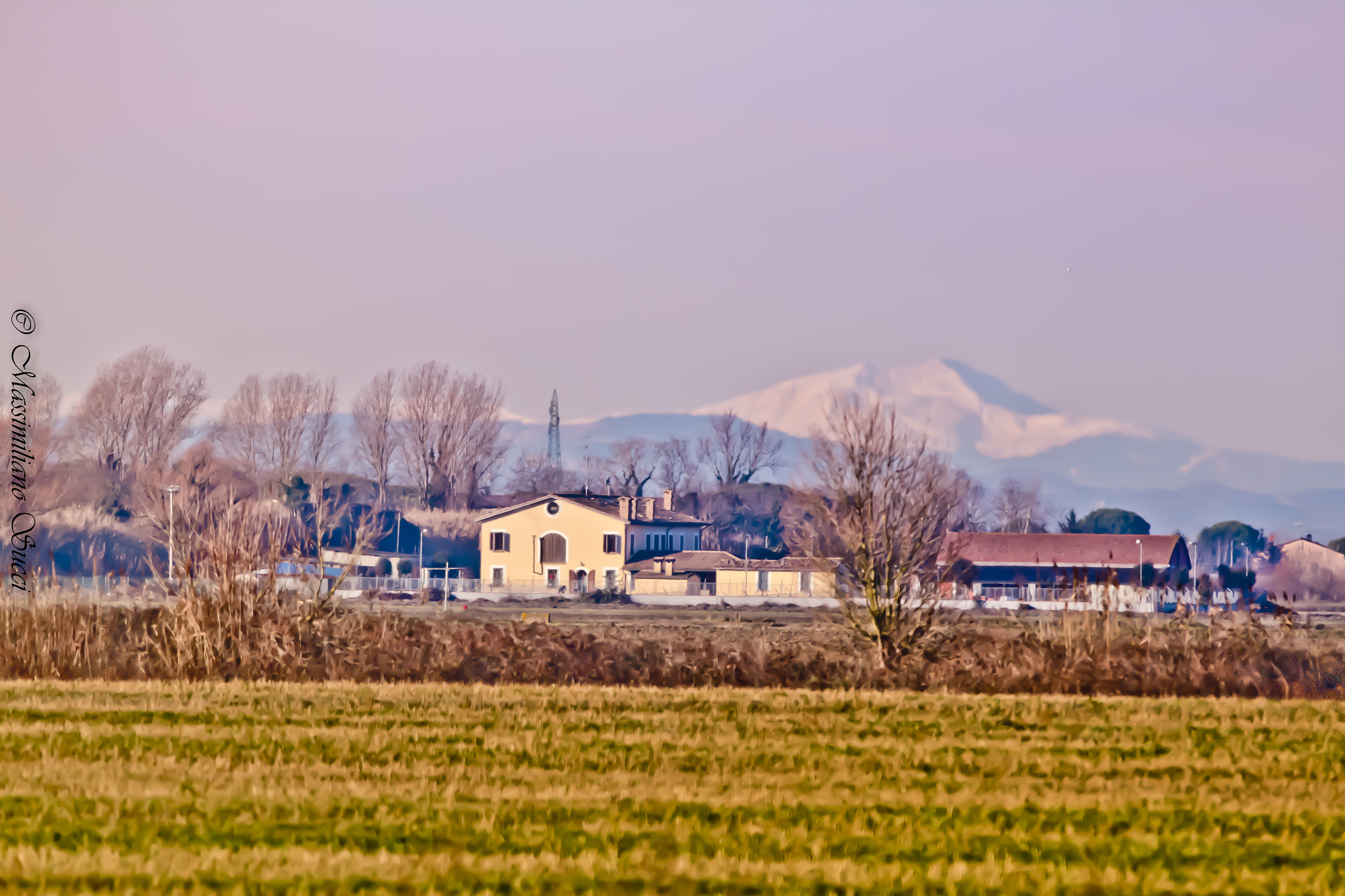 150-600mm F5-6.3 DG OS HSM | Contemporary 015 sample photo. With snow in the background photography