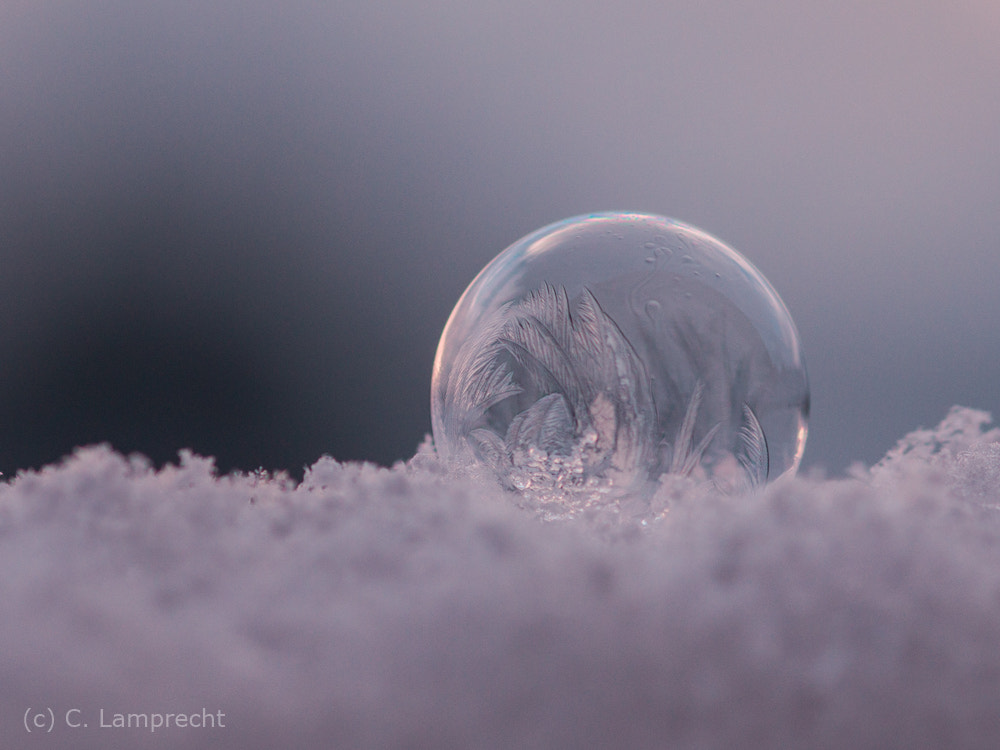 Canon EOS 70D + Sigma 105mm F2.8 EX DG Macro sample photo. Freazing bubble photography