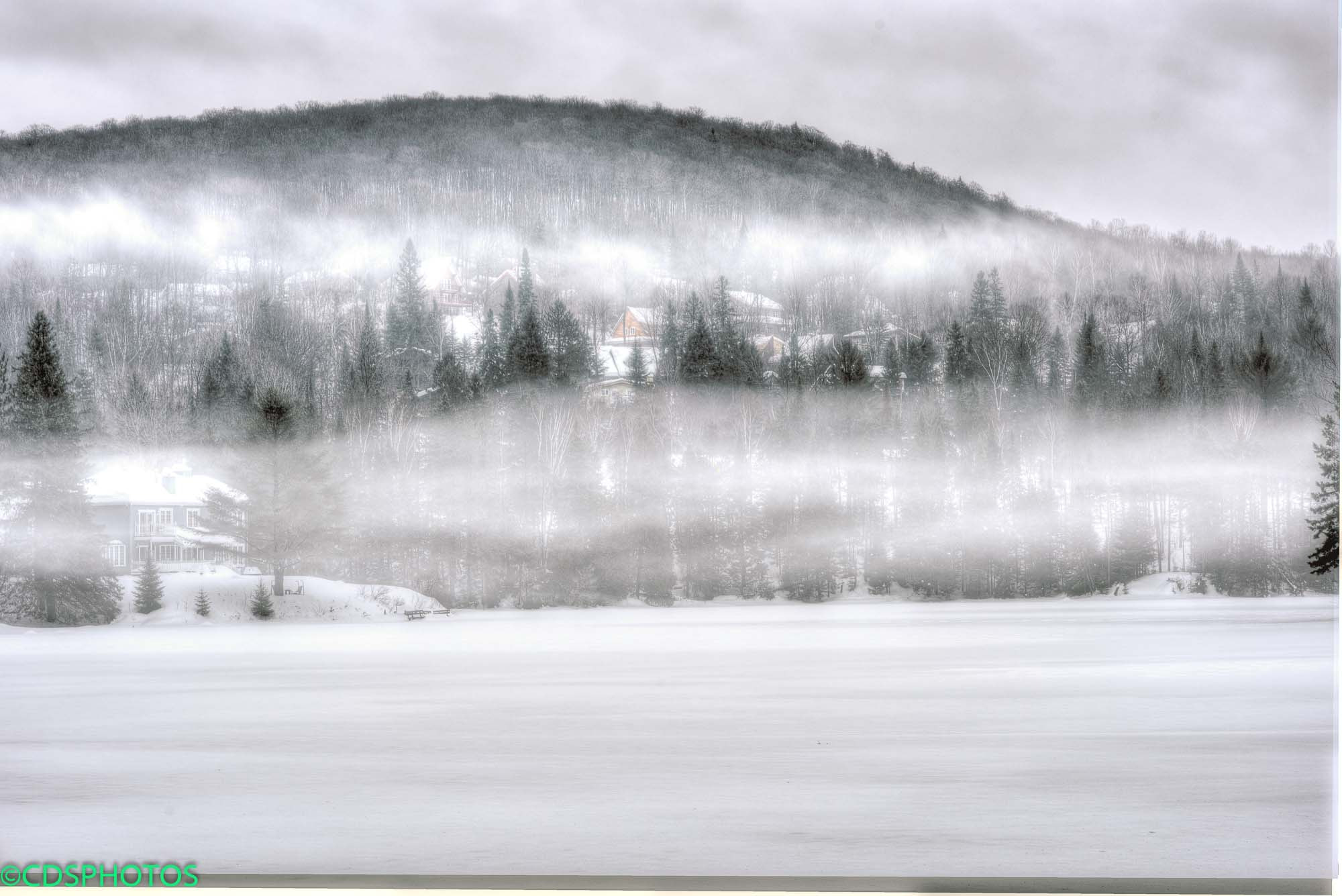Nikon D750 sample photo. Brouillard de neige photography