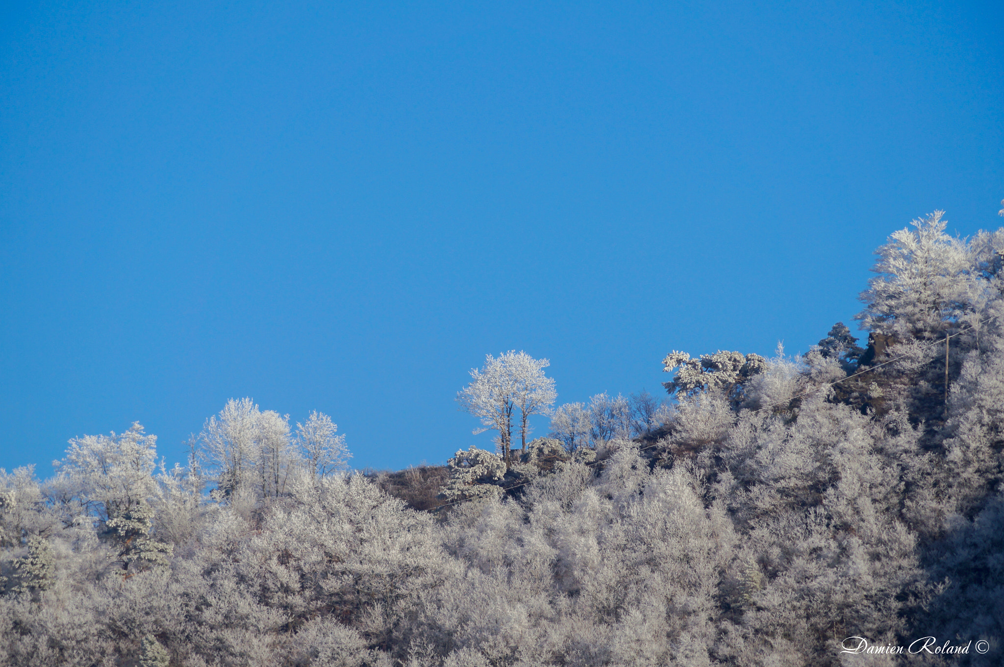 Sony SLT-A37 + Sony DT 55-200mm F4-5.6 SAM sample photo. Le givre photography